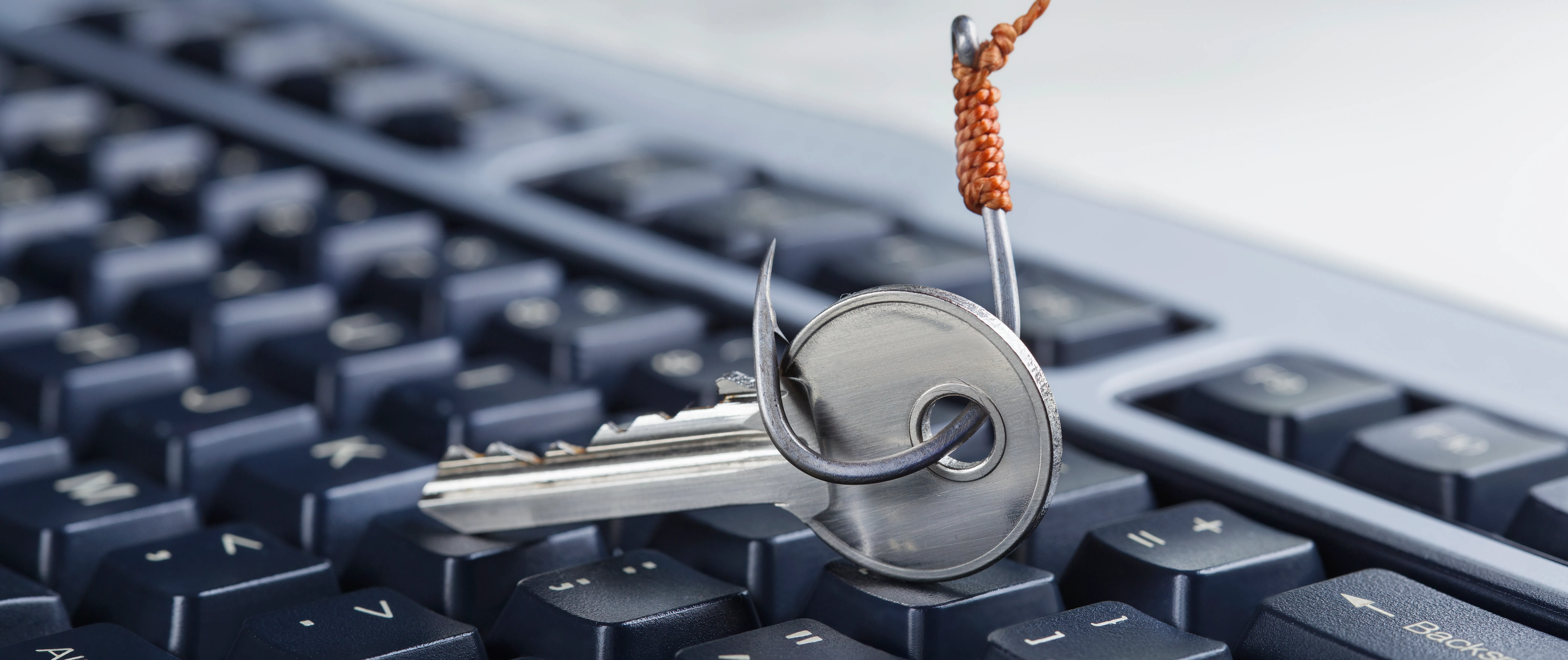 Embezzlement Defense Legal Analysis of Financial Records 