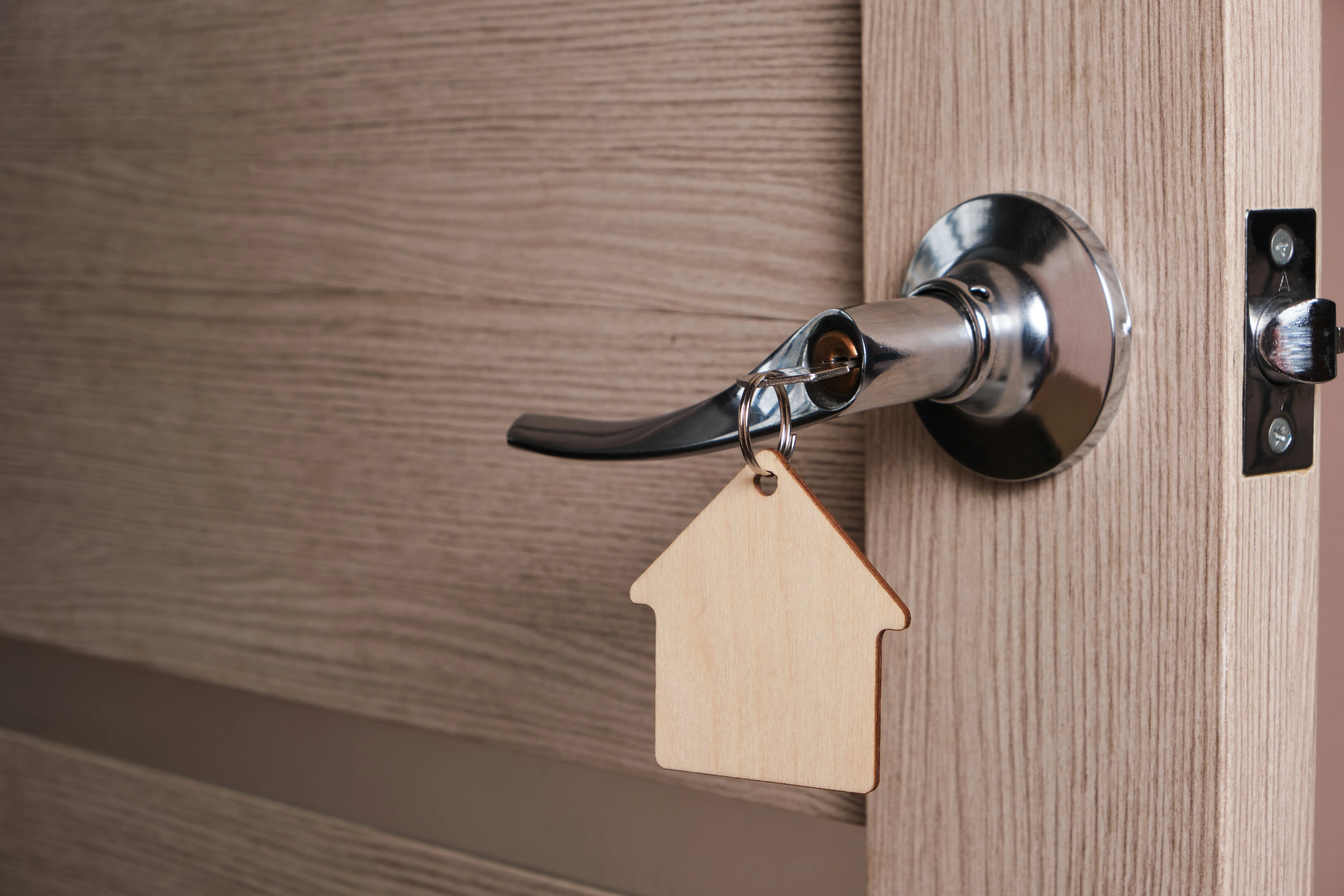 Trespass Case New York Court Assessment and Final Outcome