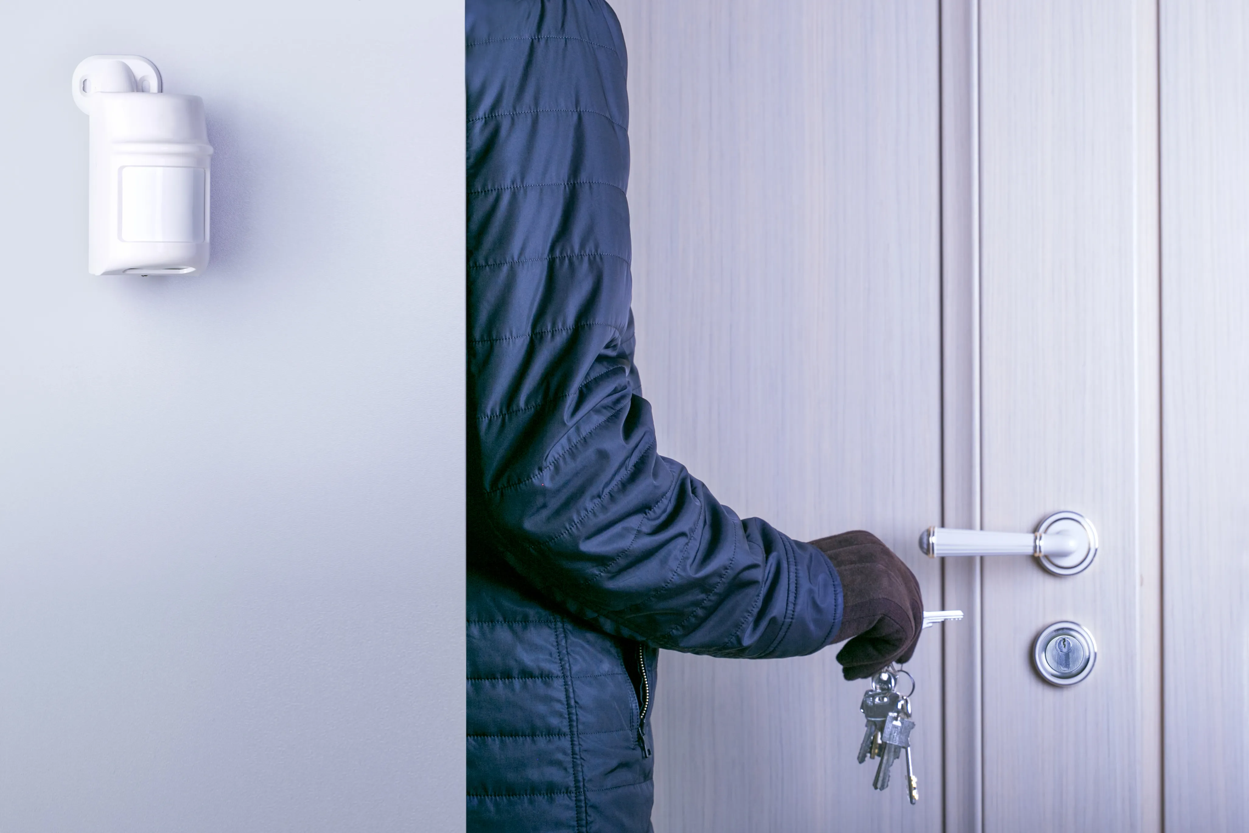 Nighttime Burglary in New York Client Background and Case Overview