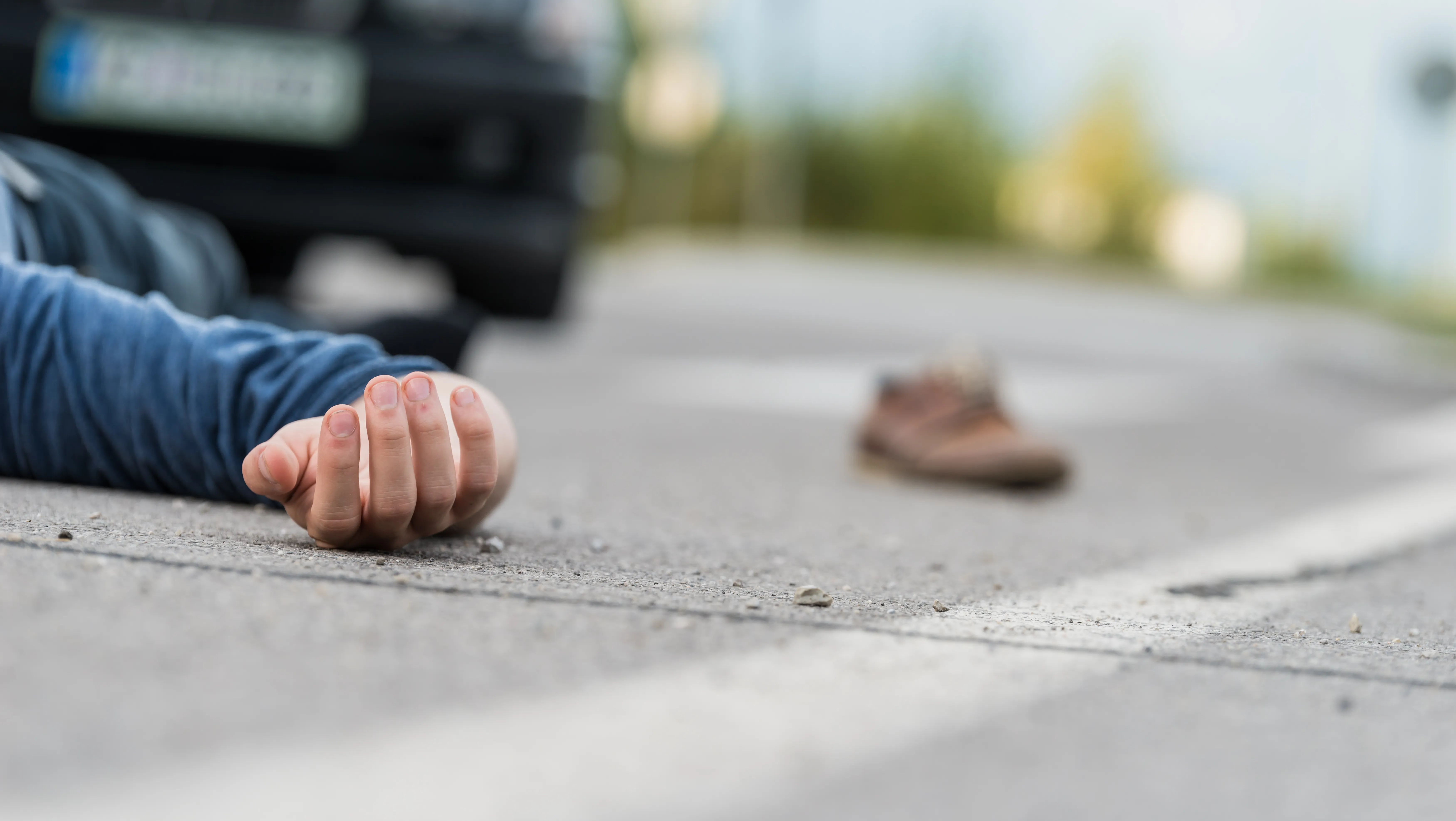 Fatal Traffic Collision in New York Client Background and Incident Overview