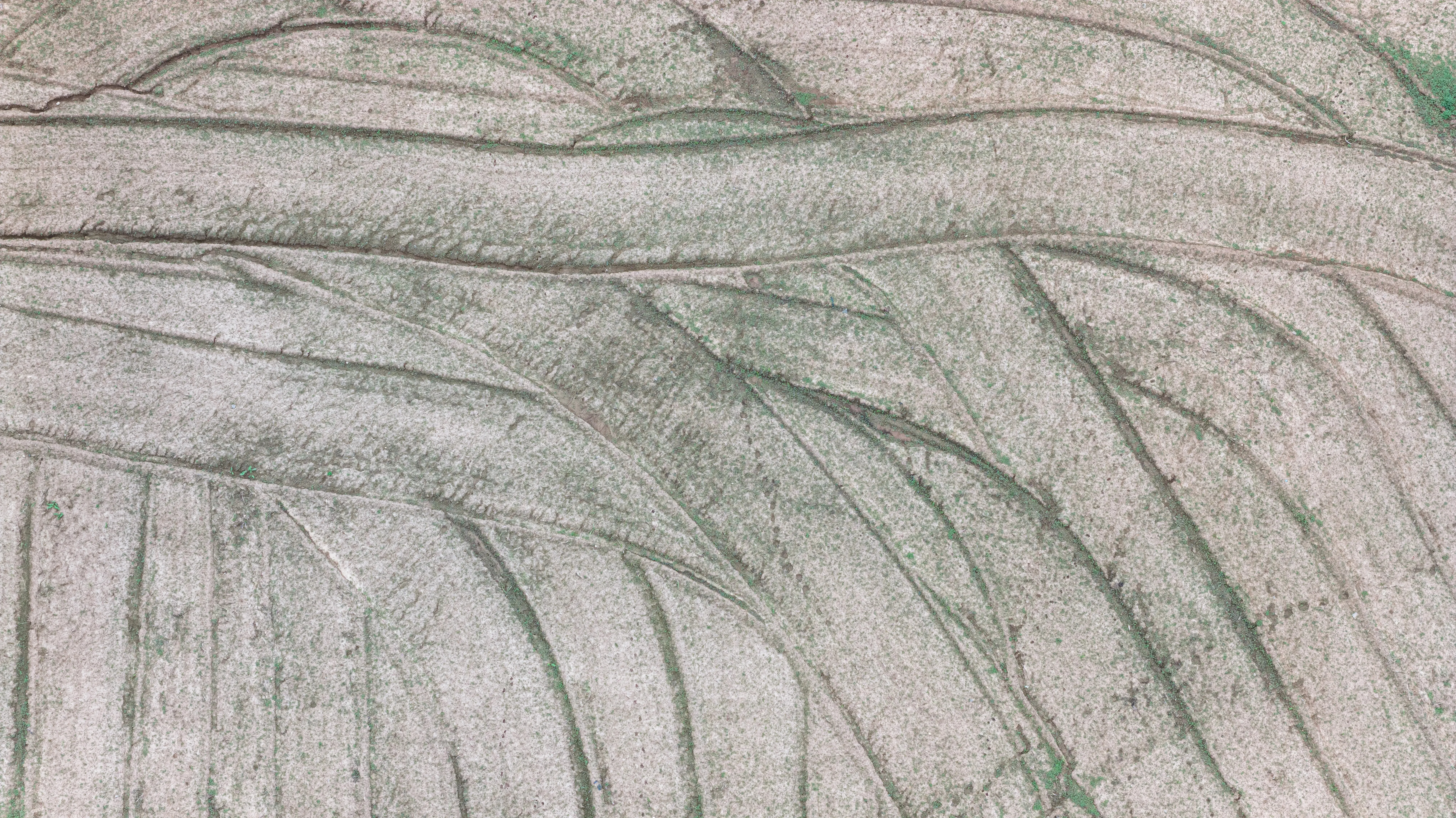 Real Estate Fraud Attorney in New York