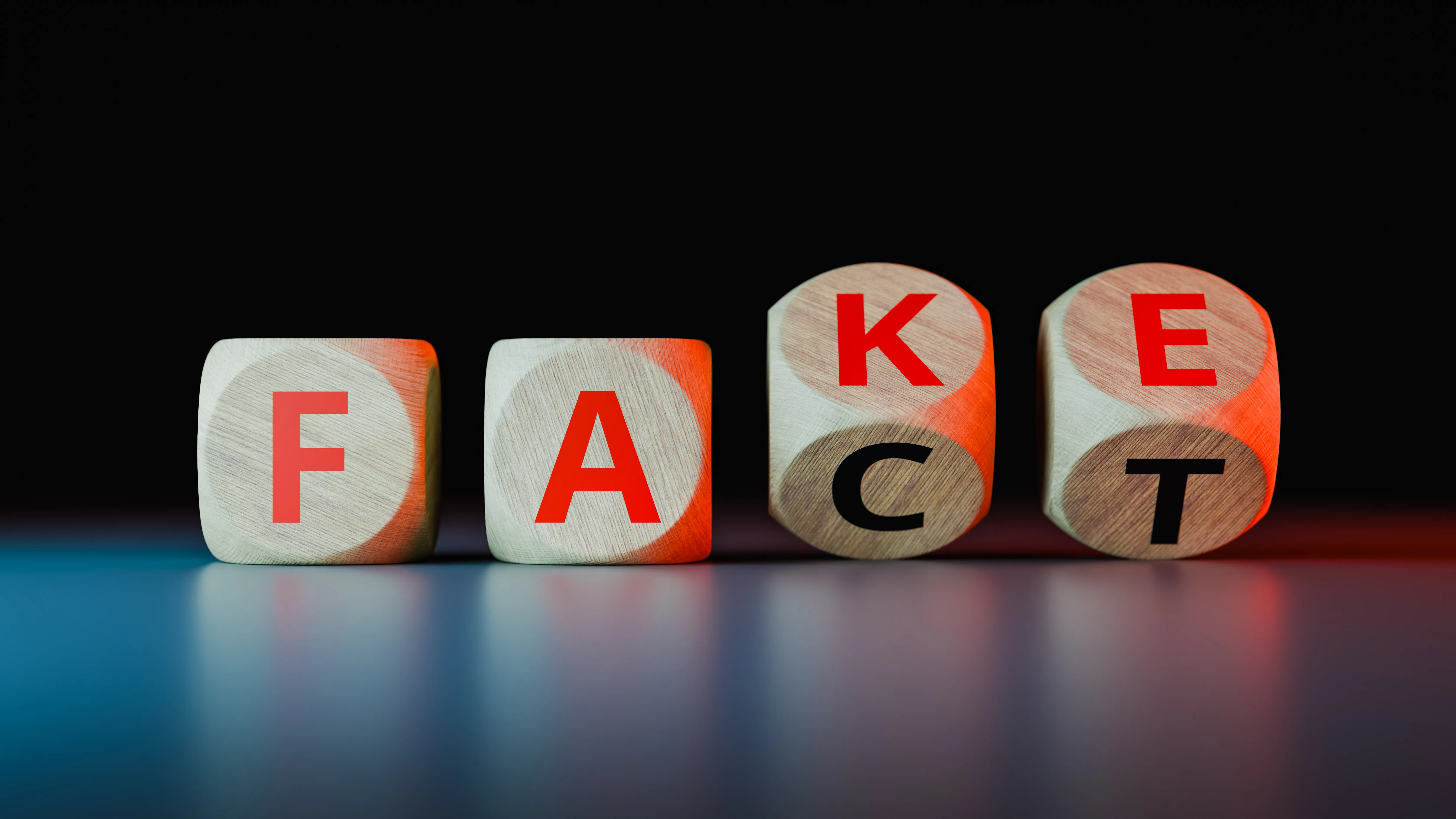 Fraud Punishment | Court Evaluation and Final Outcome