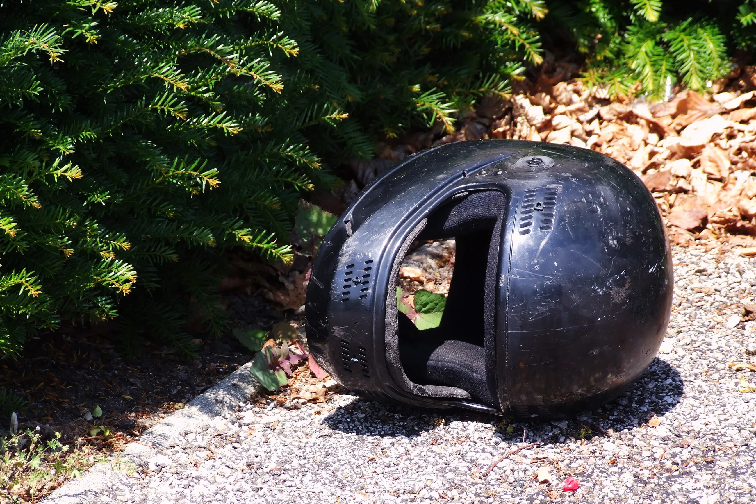 Motorcycle Traffic Accident New York Court Evaluation and Sentencing Outcome