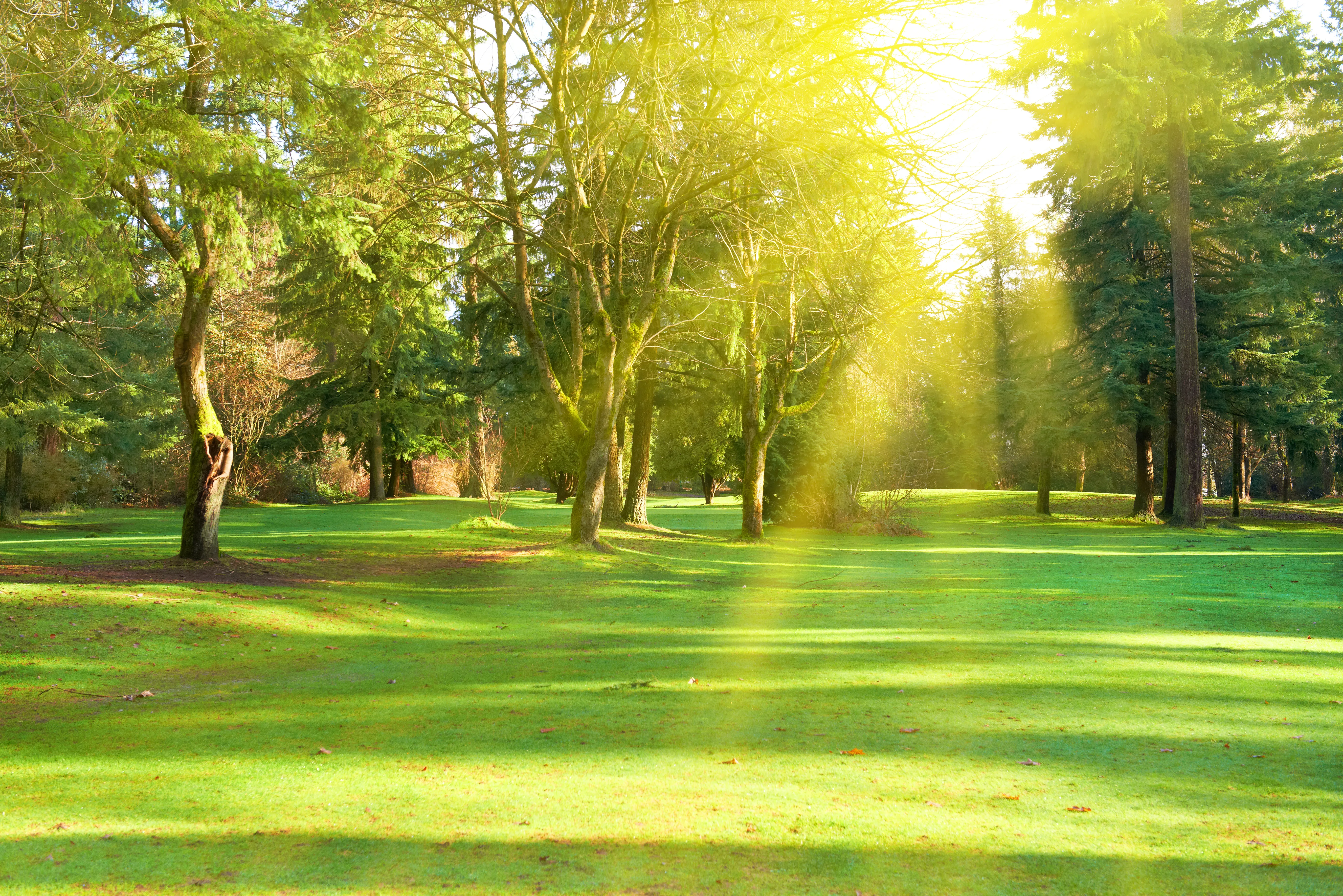 Report Property Damage Attorney New York