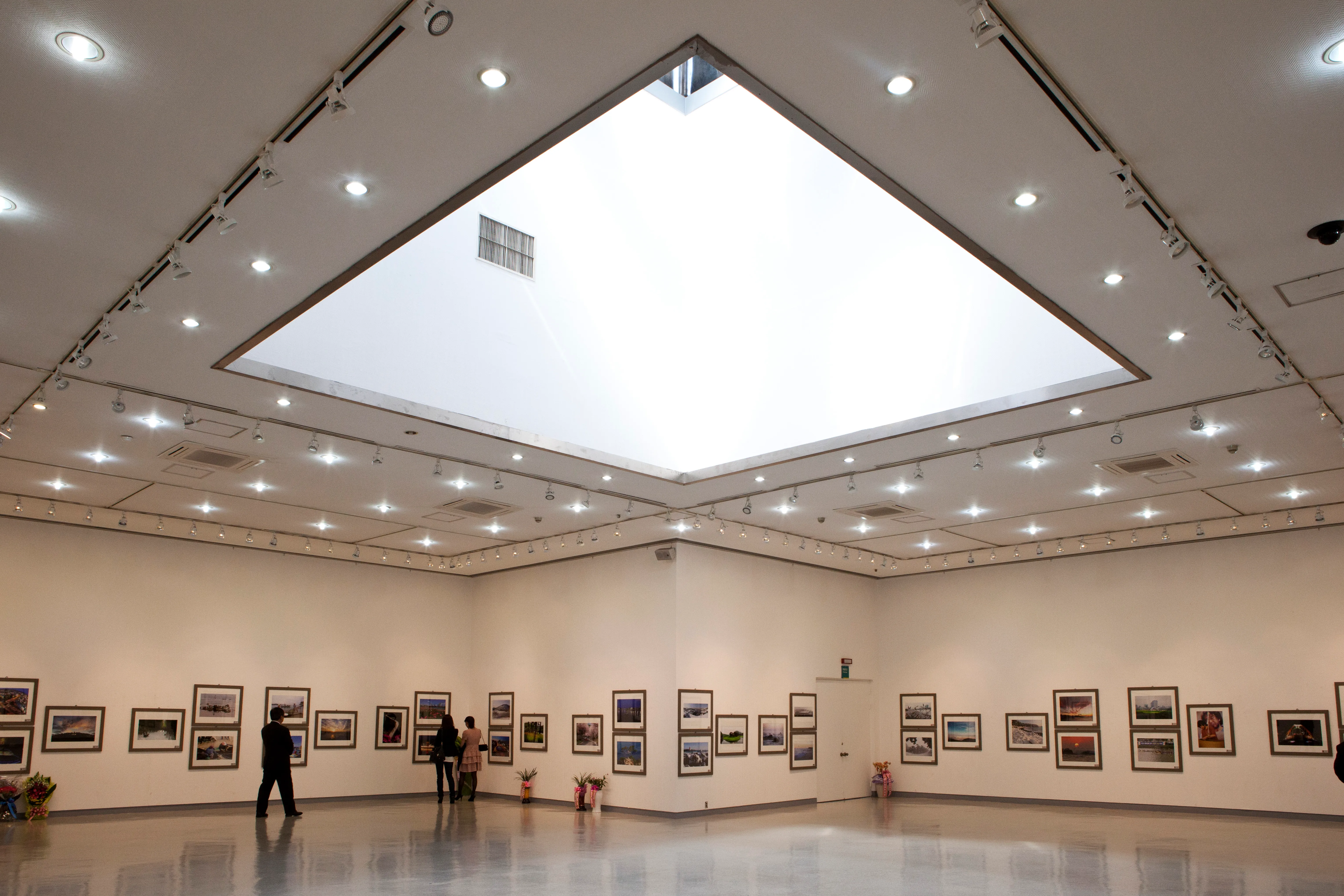 Immigration Visa Attorney New York Case Overview and Artist Background