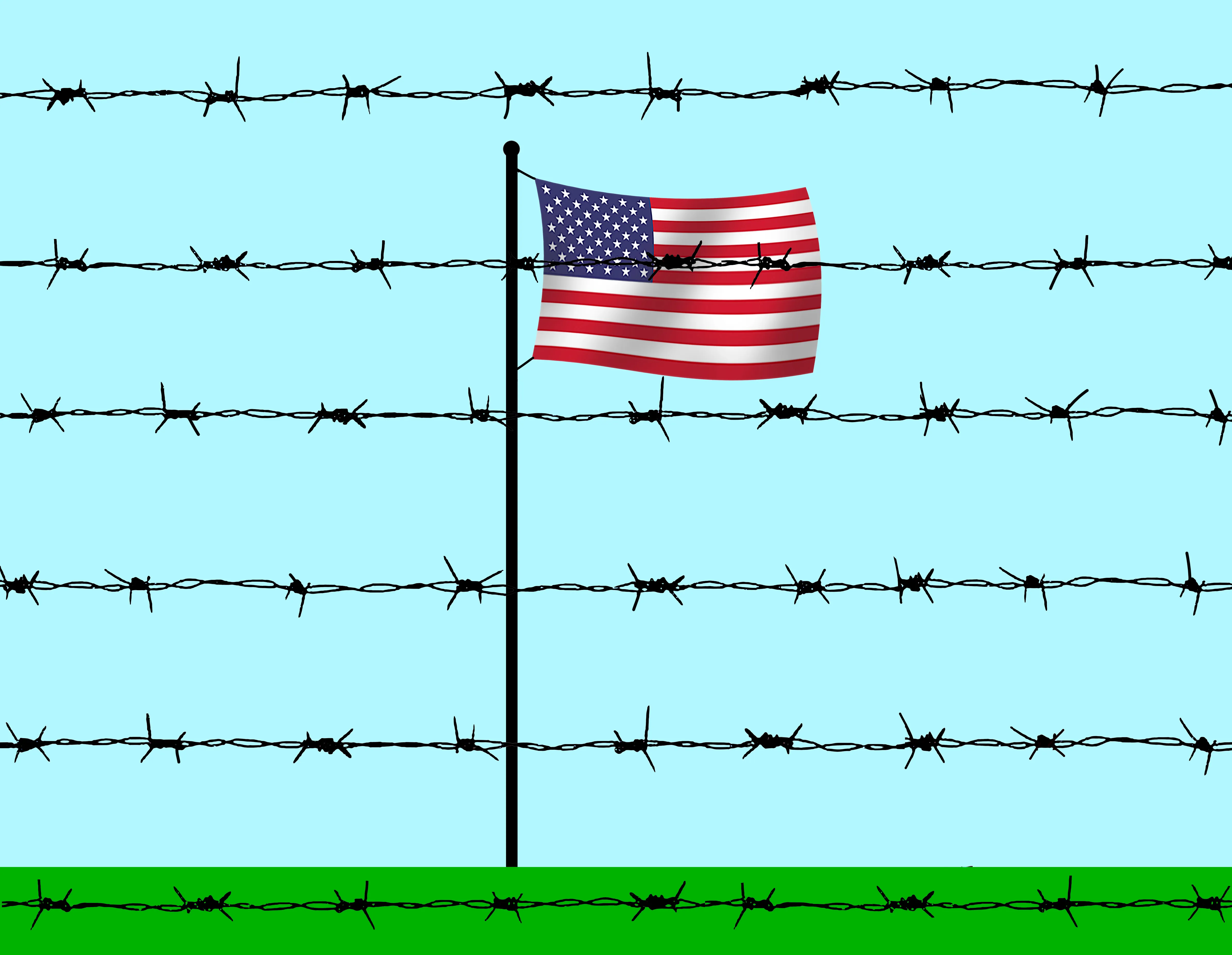 Family immigration lawyer | Case Overview and Legal Background