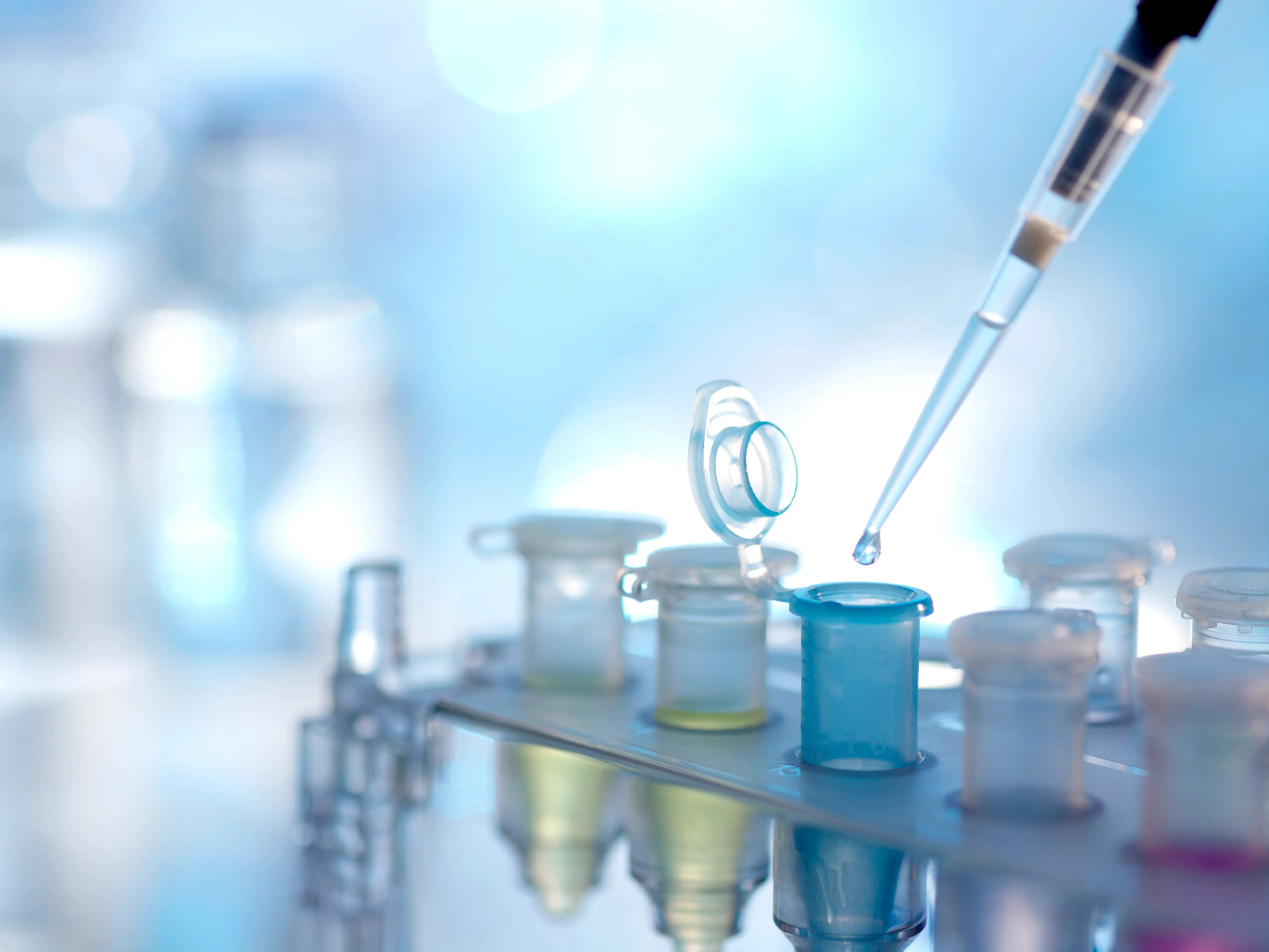 Types of Visas in New York