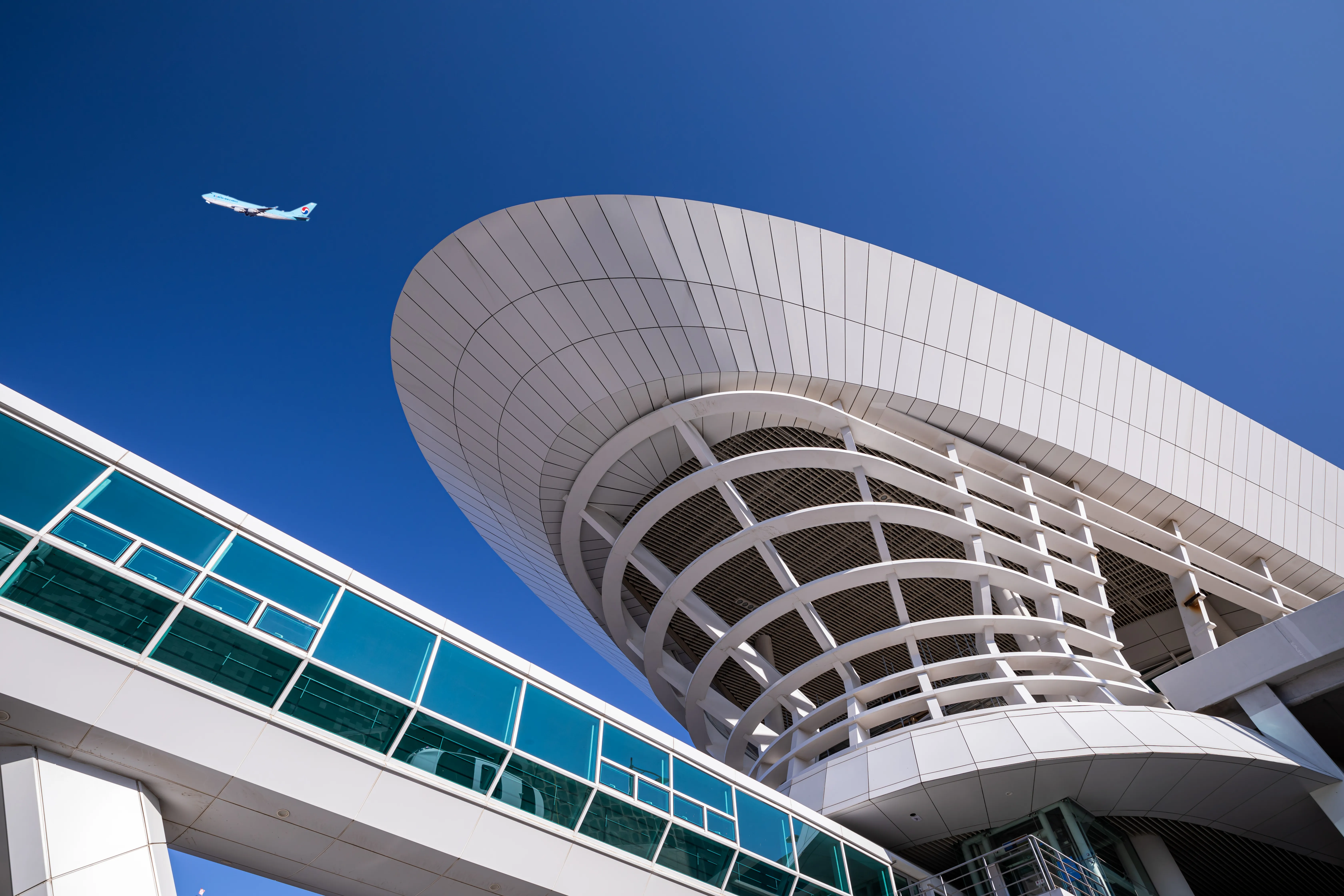 Nonprofit Lawyer in New York