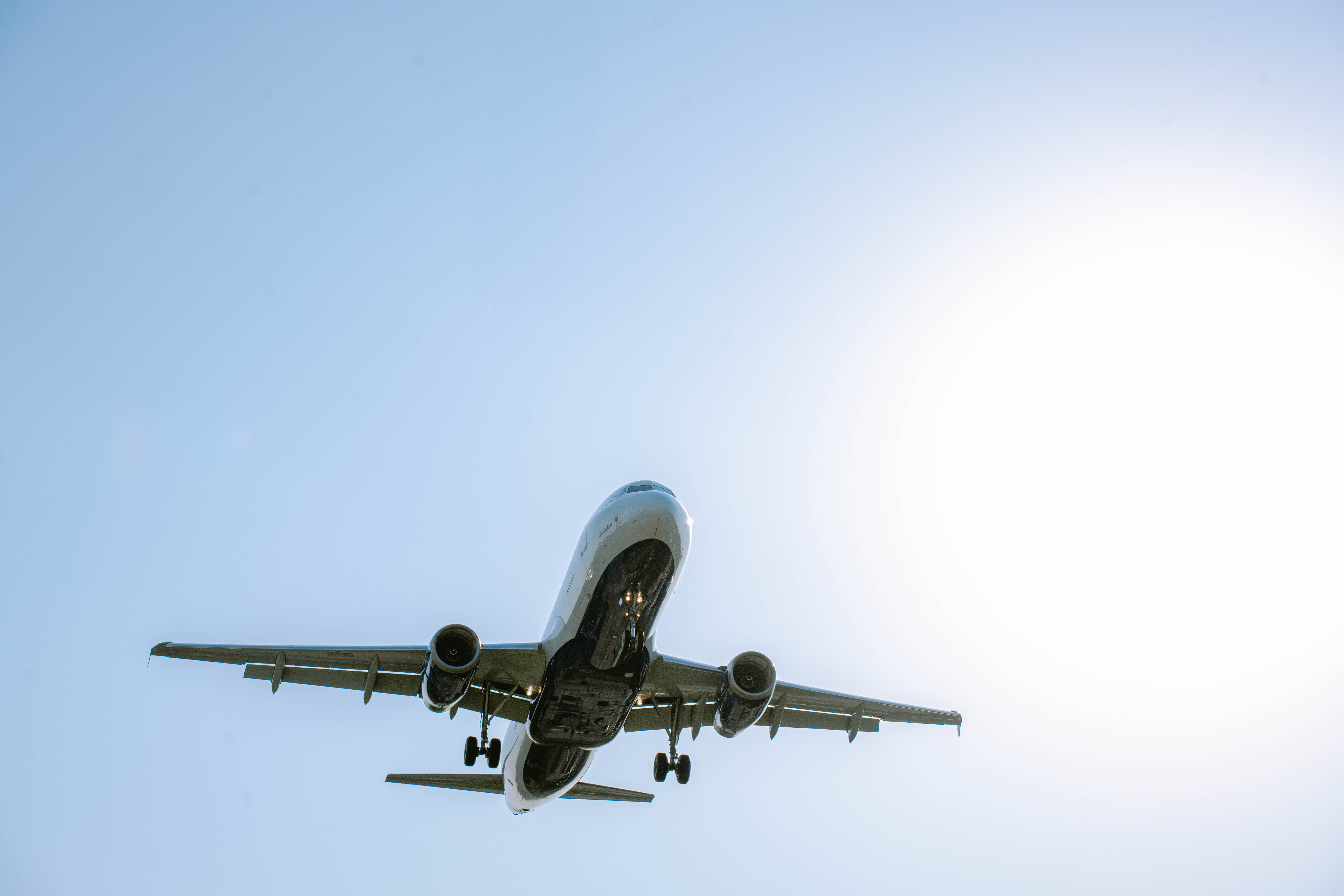 Attorney In Bronx NY New York – Applicant Profile and Evidentiary Strategy