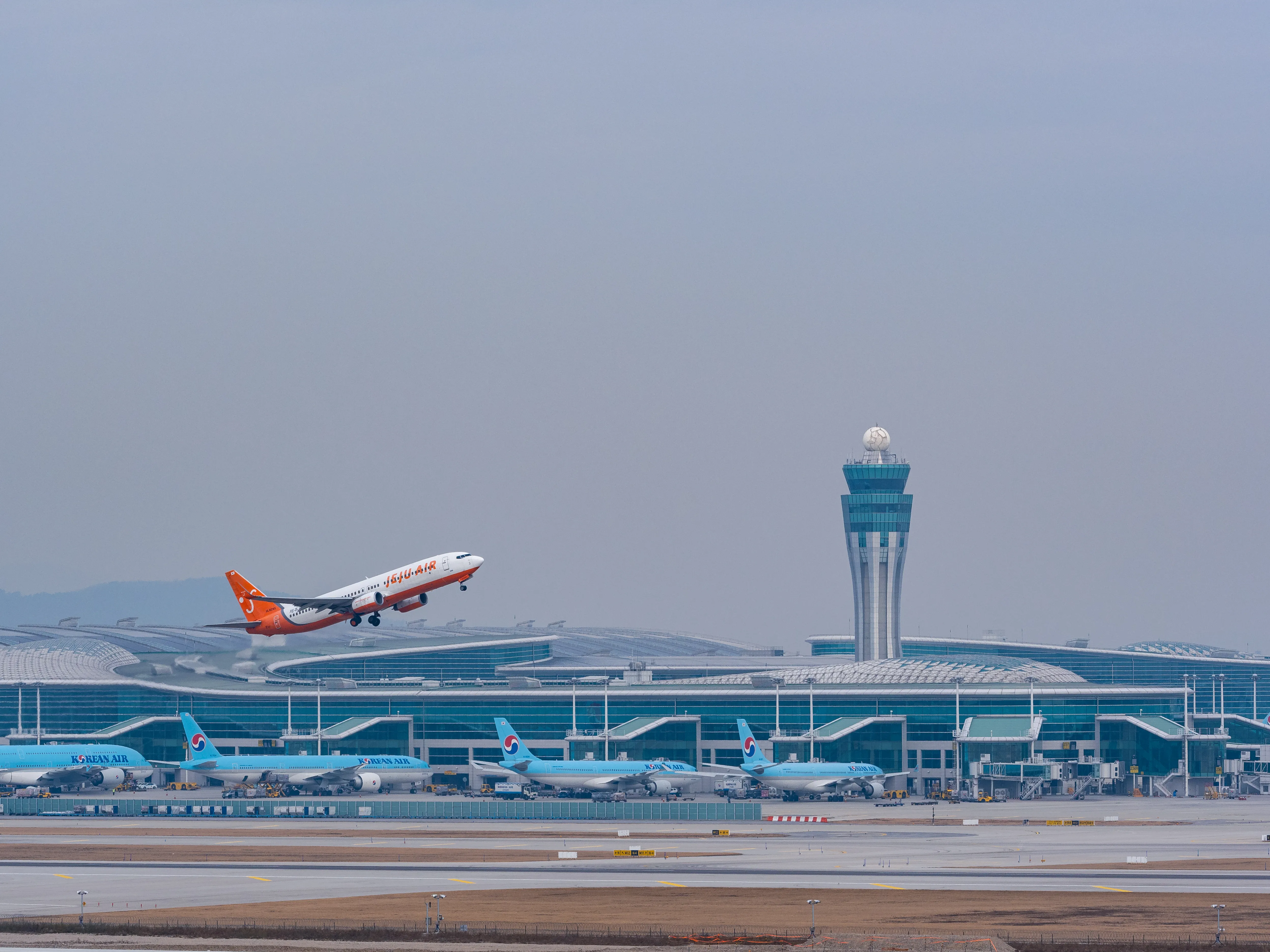 Law Office in Brooklyn  | Case Overview and Strategic Framing