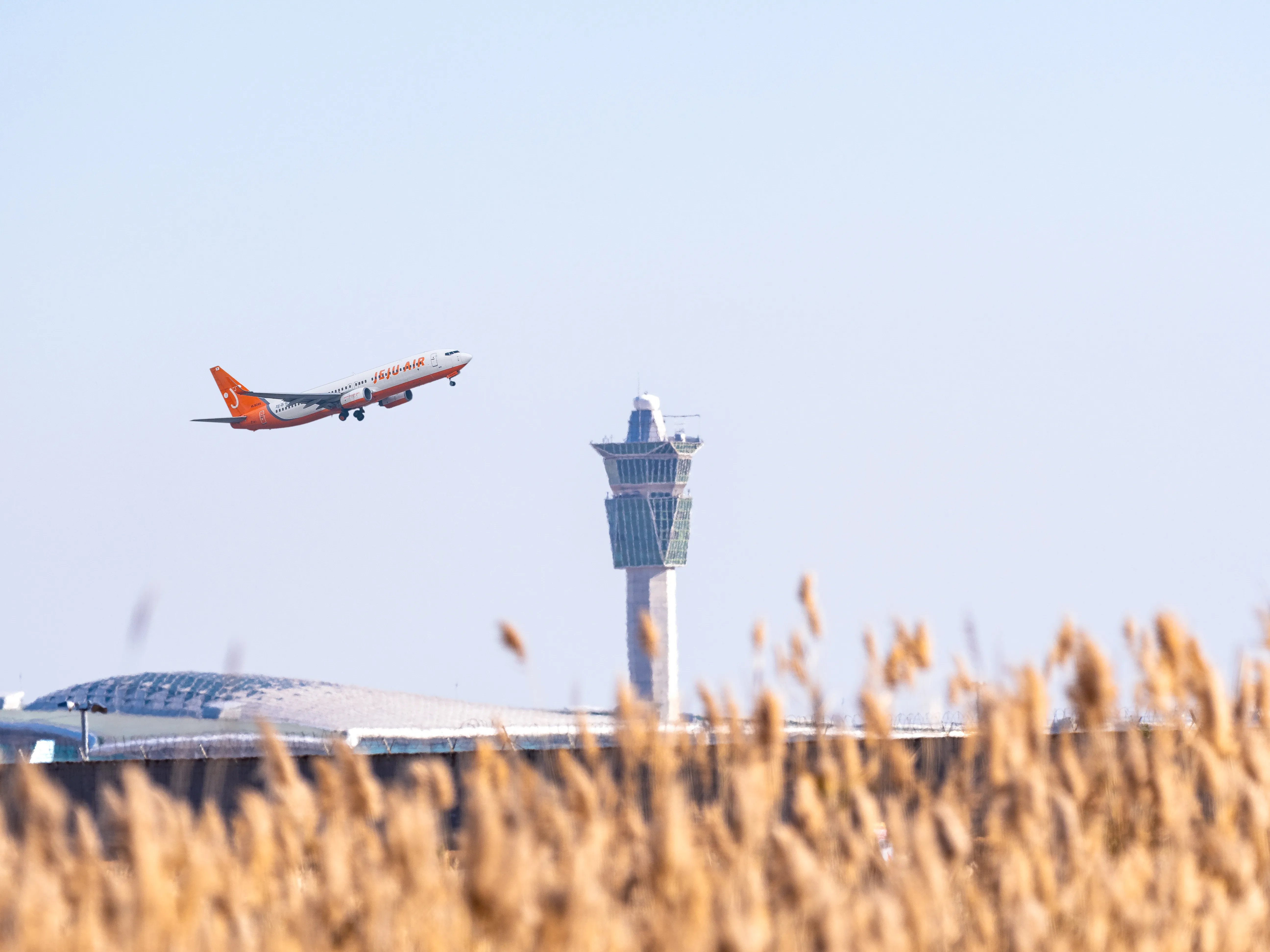 Law Firm in Brooklyn NY Brooklyn USCIS Review and Petition Approval