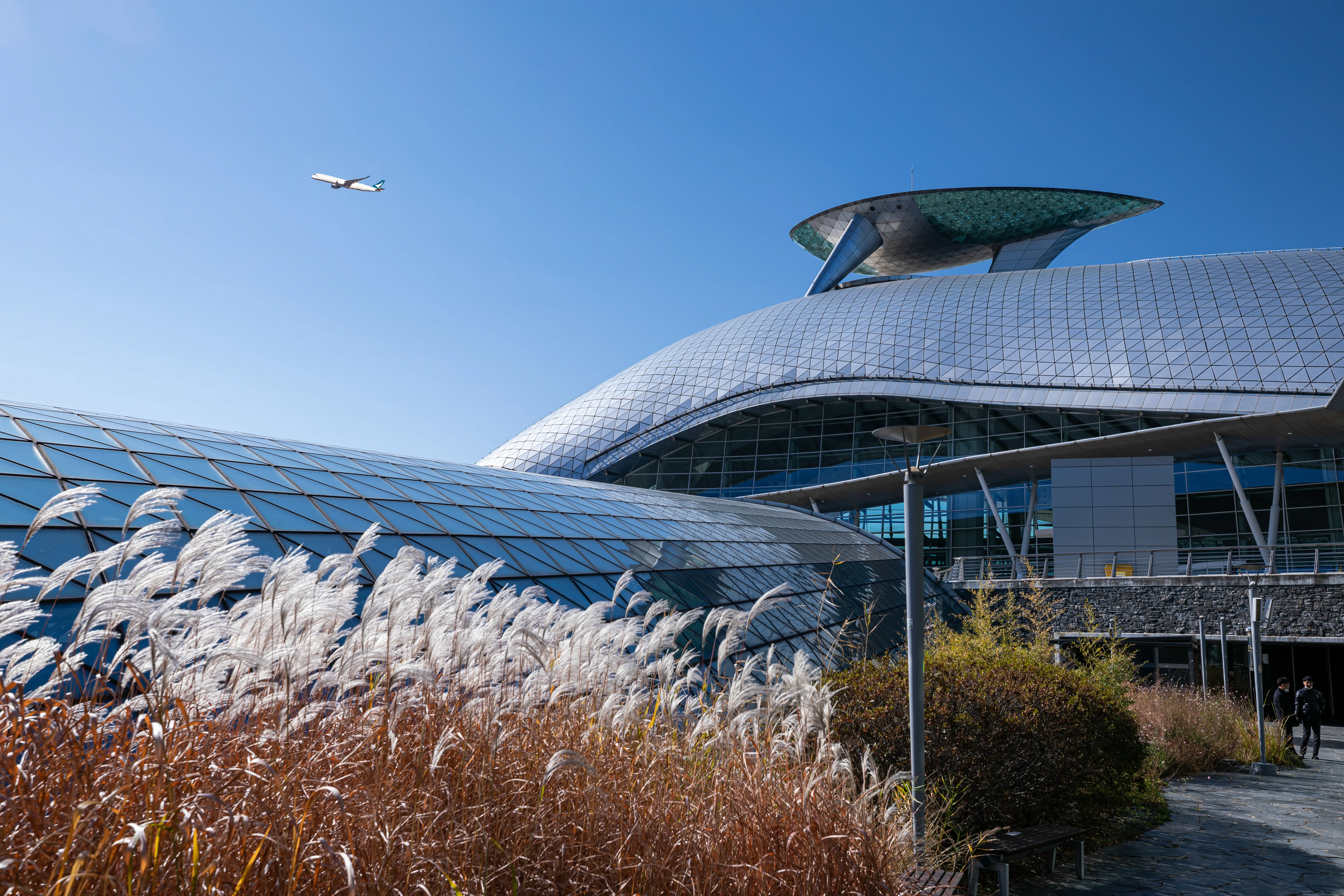 law office New York City | Case Background and Applicant Profile