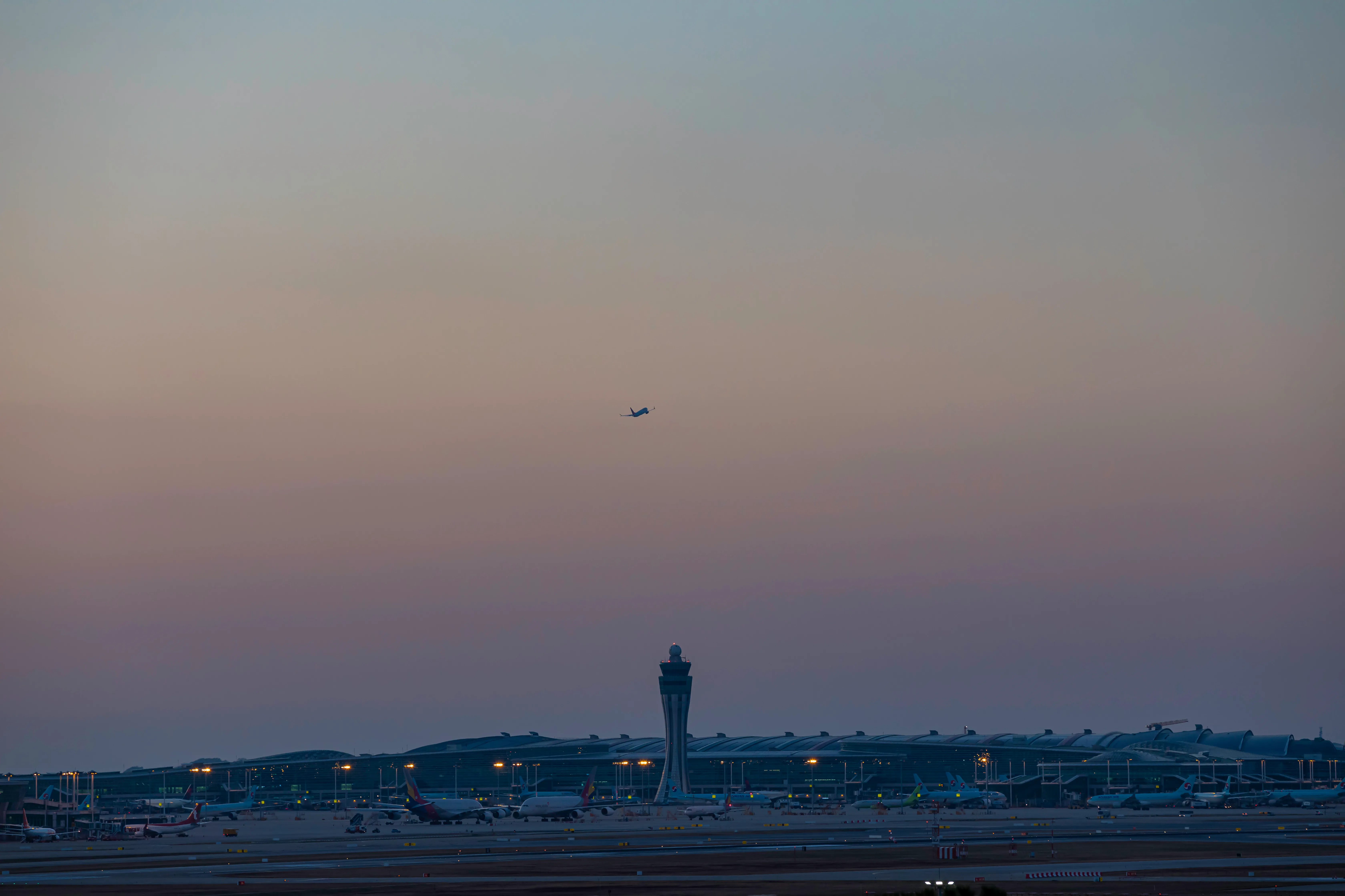 law office | Legal Strategy and Petition Structuring