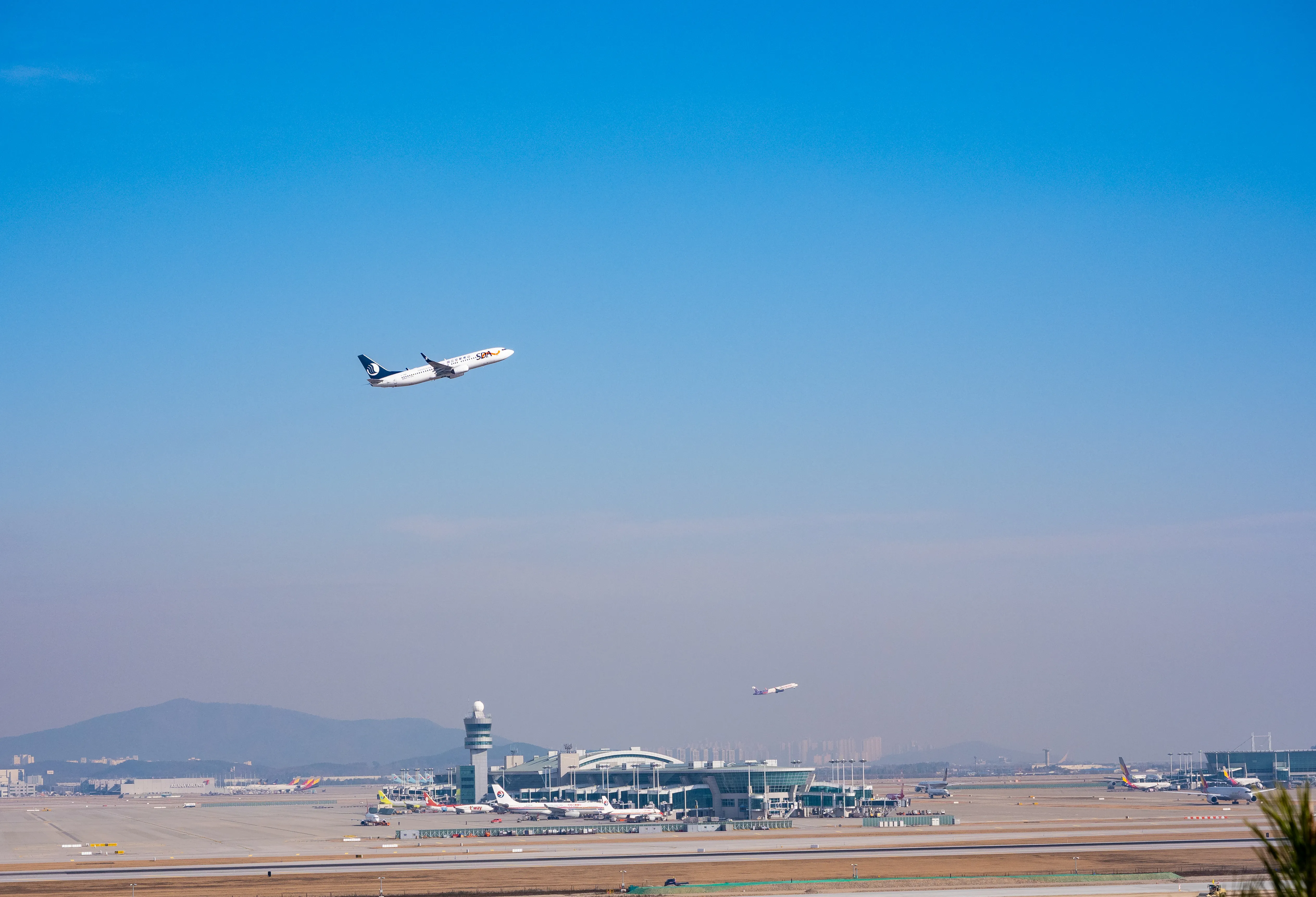 attorney in Brooklyn outcome | IR-5 Visa Issuance and Lawful Entry