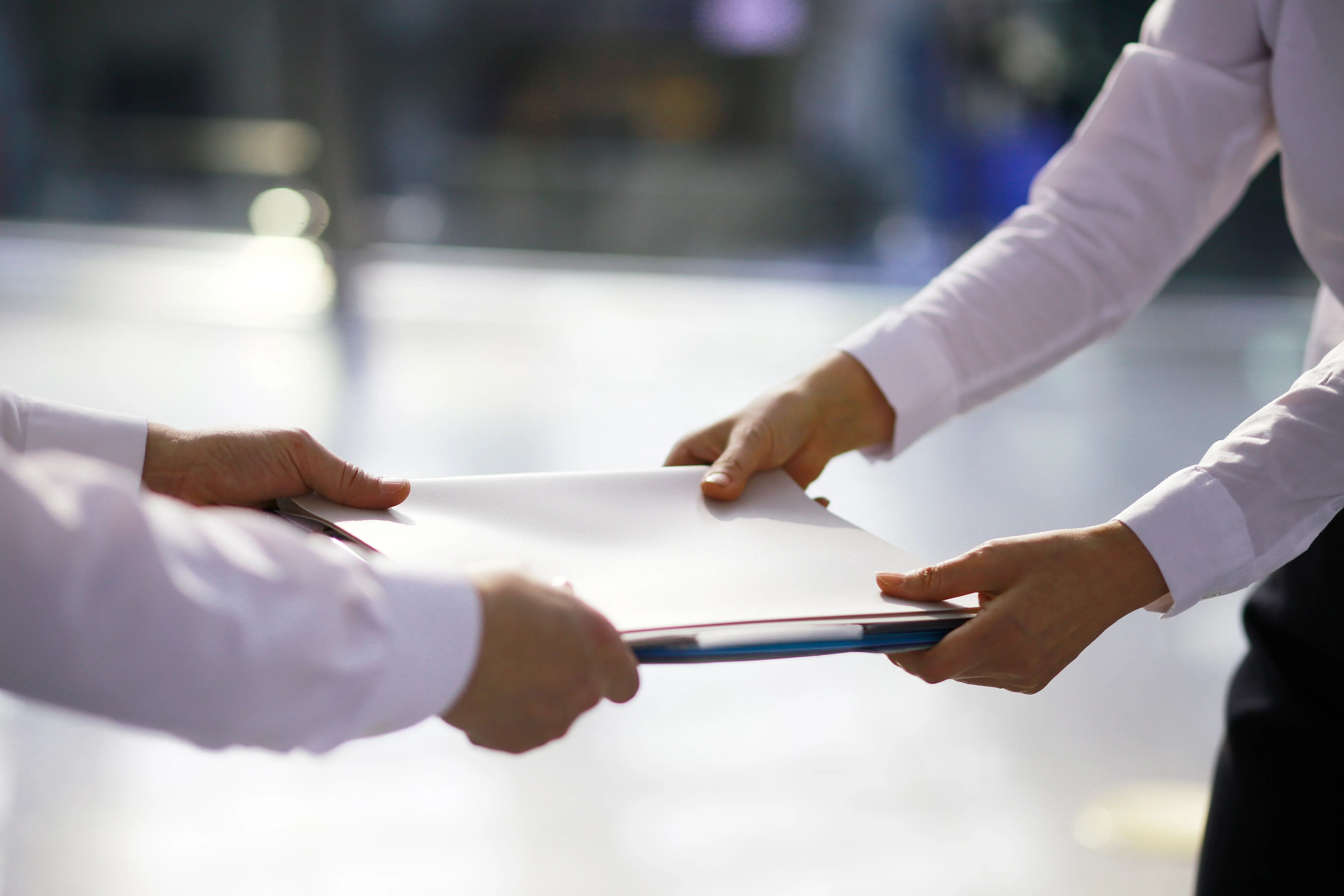 corporate counsel | Immigration History Review and Risk Assessment