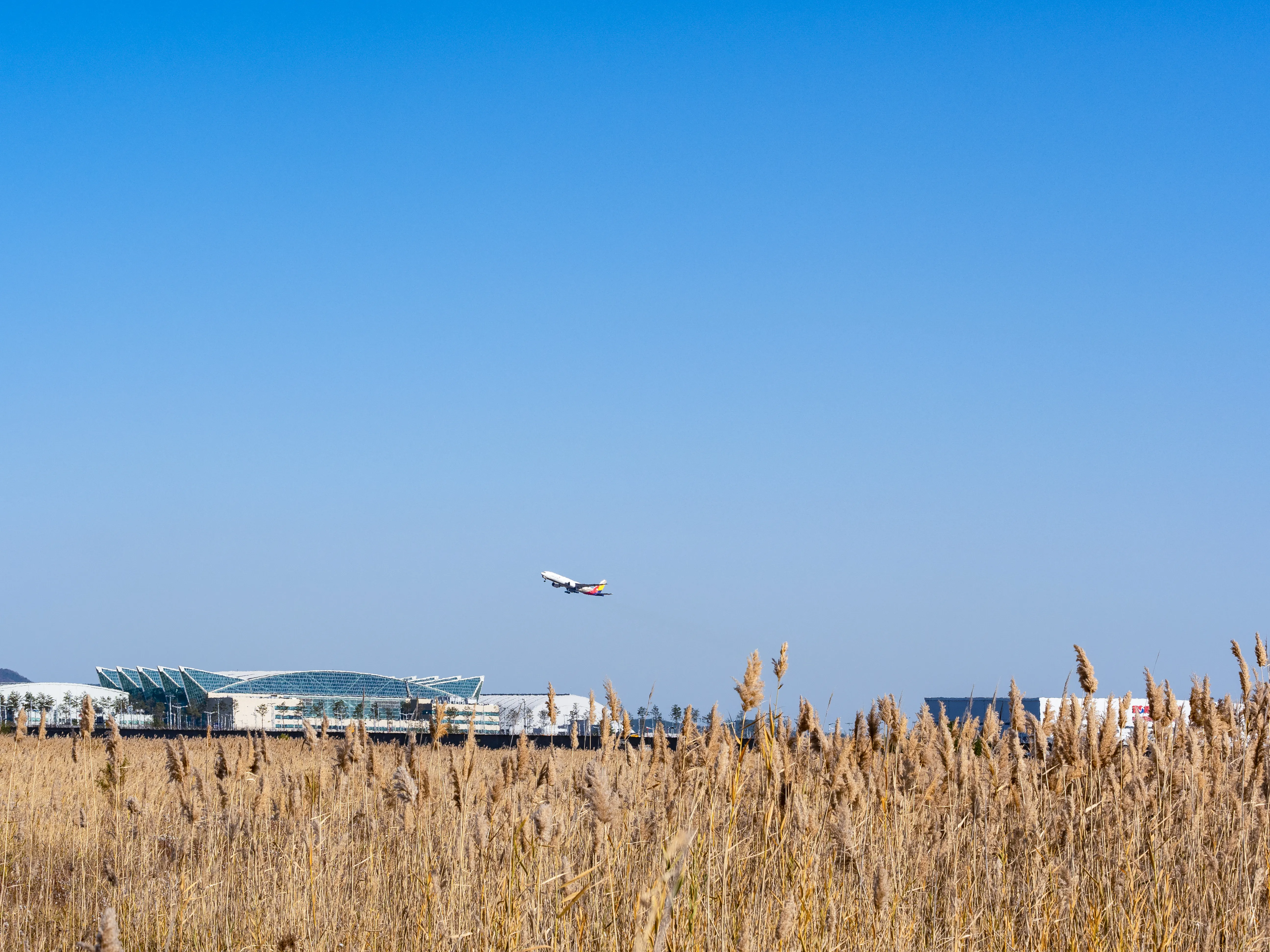 top law firms NYC | Proactive review of background history and risk mitigation