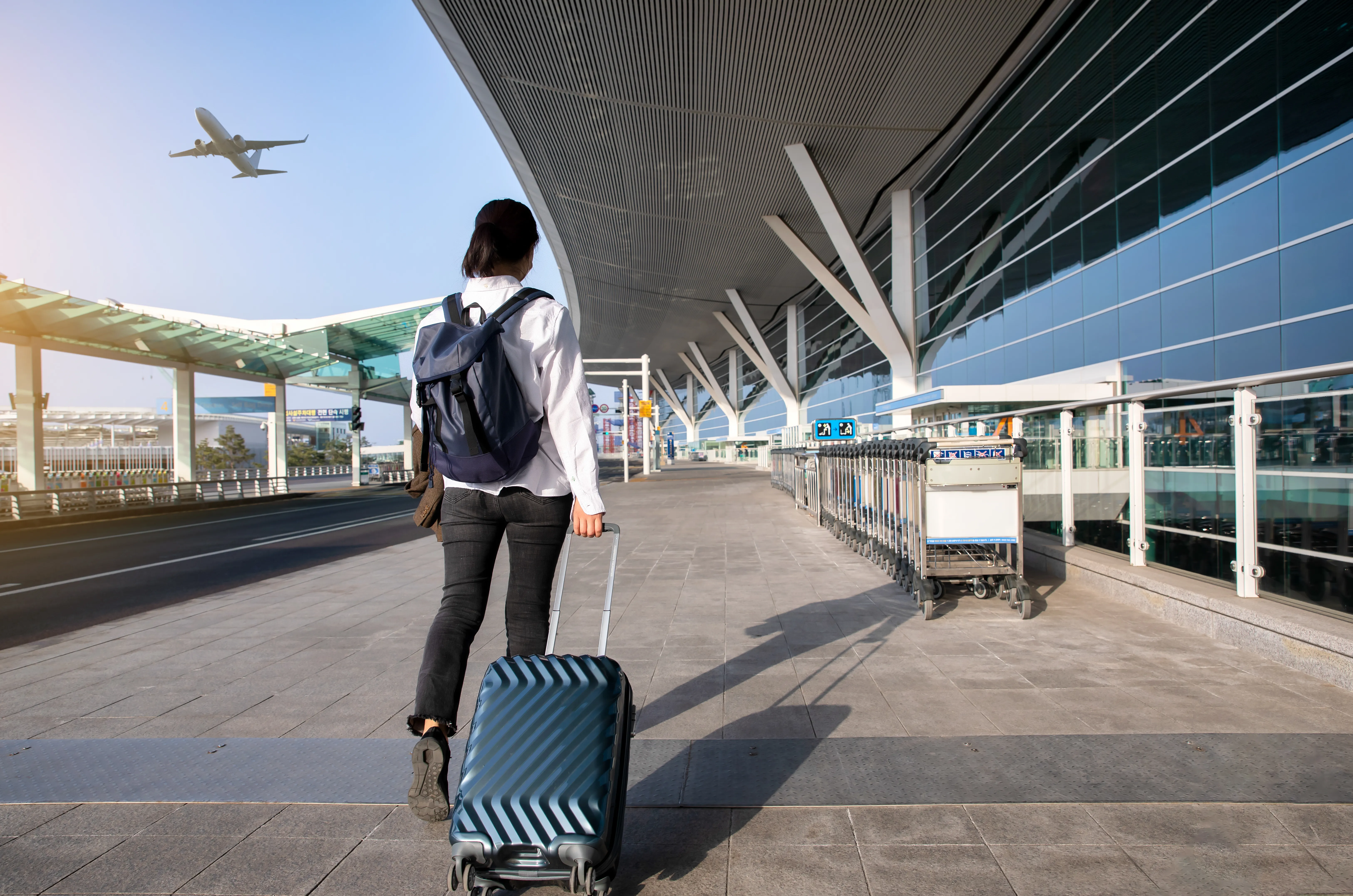 top immigration lawyers in new york | Case Overview and Professional Background