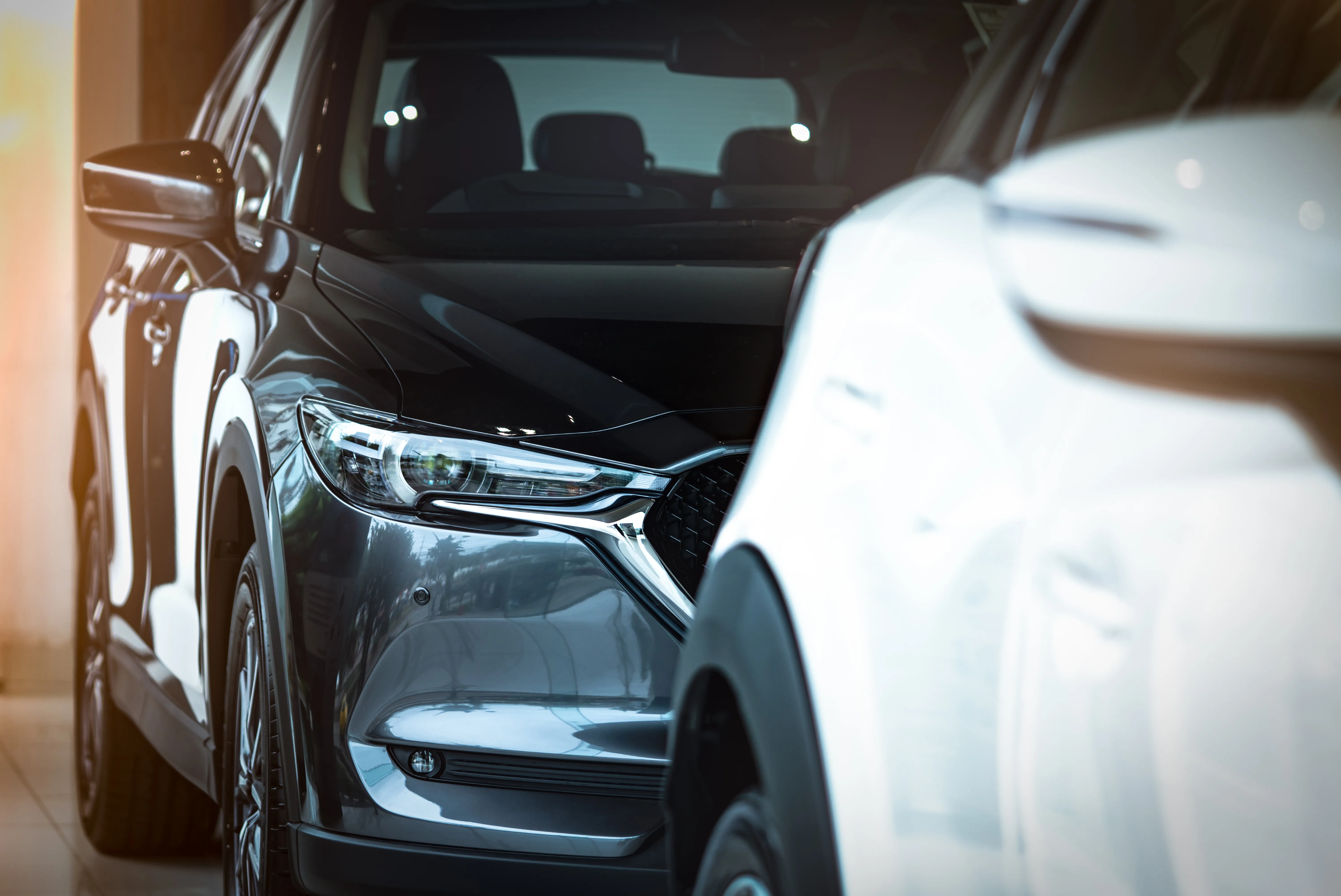 Intimidation Washington DC Circumstances Leading to the Alleged Intimidation