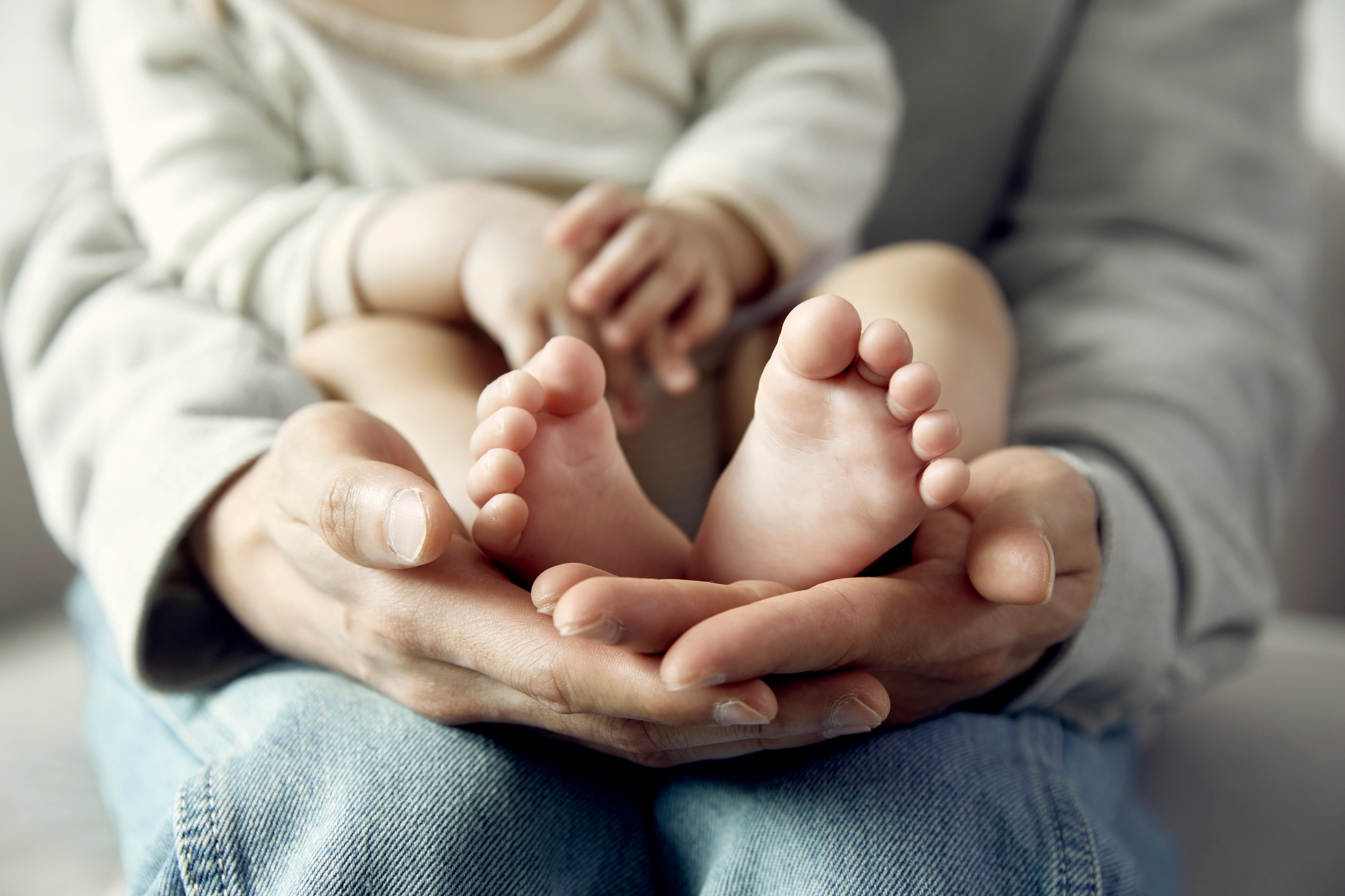 Custody Dispute New York Strategic Legal Advocacy and Evidence Presentation