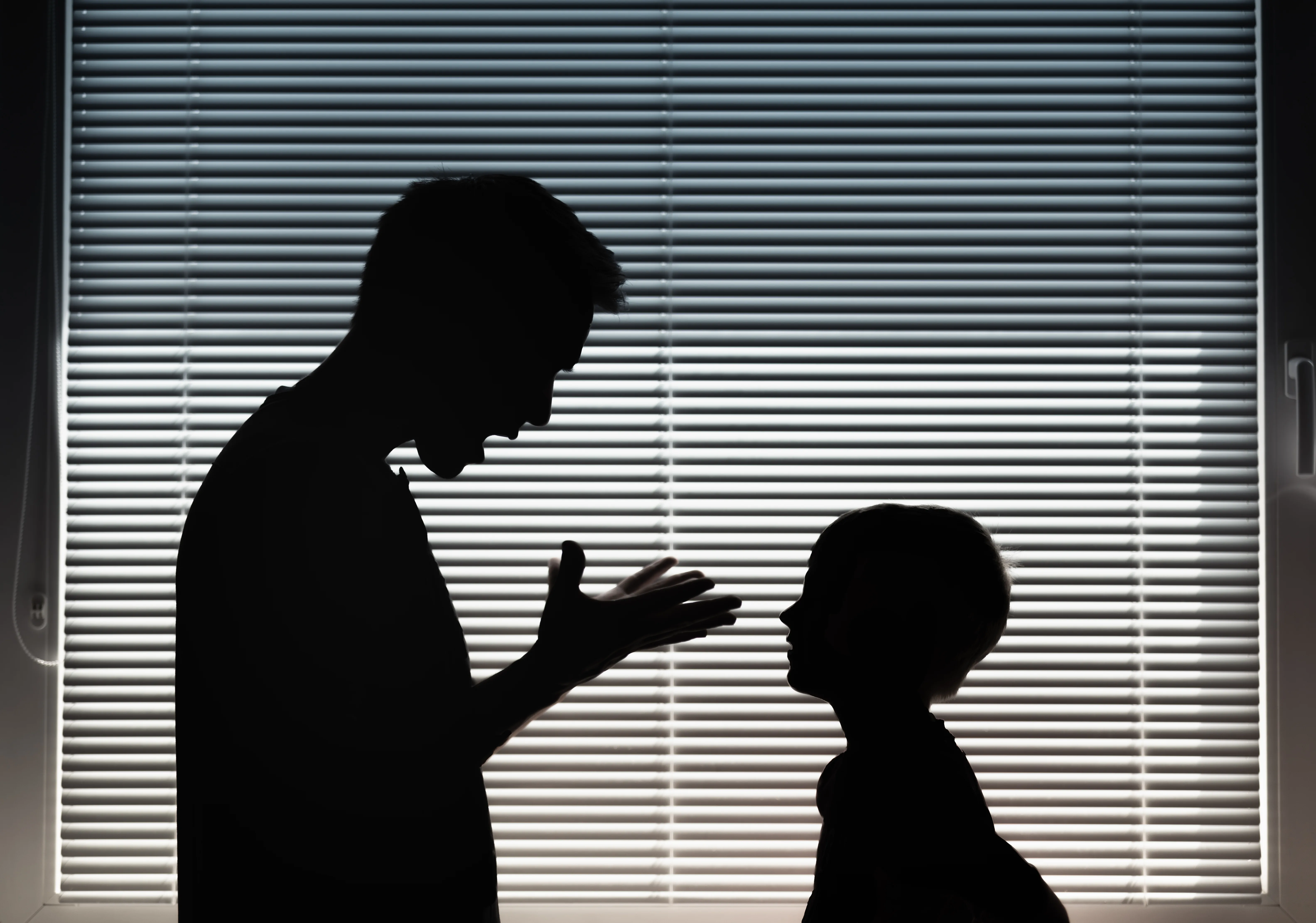 Criminal Litigator Washington DC Case Overview and Client Background