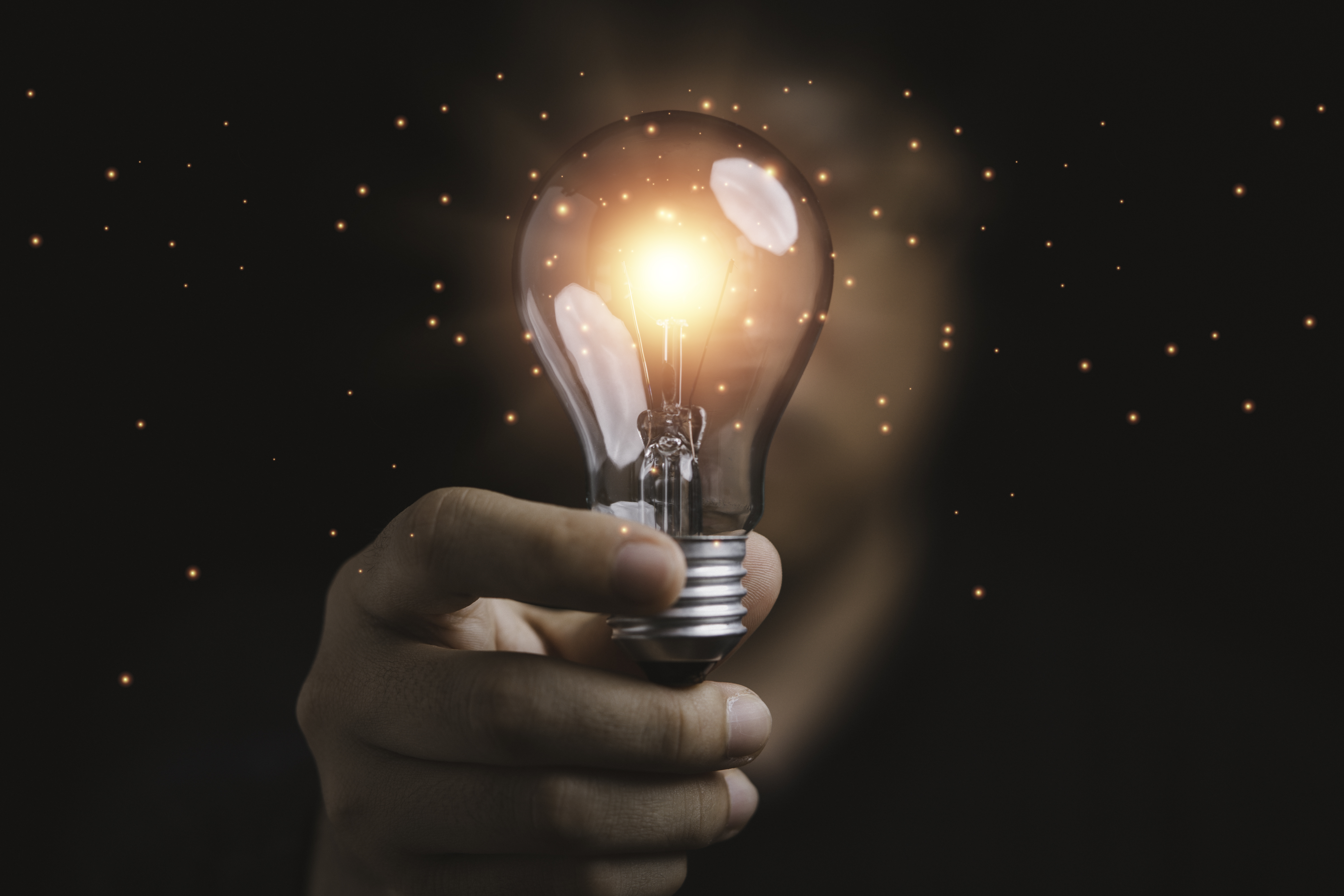 Trademark Law Firm In New York New York Negotiation and Dispute Resolution