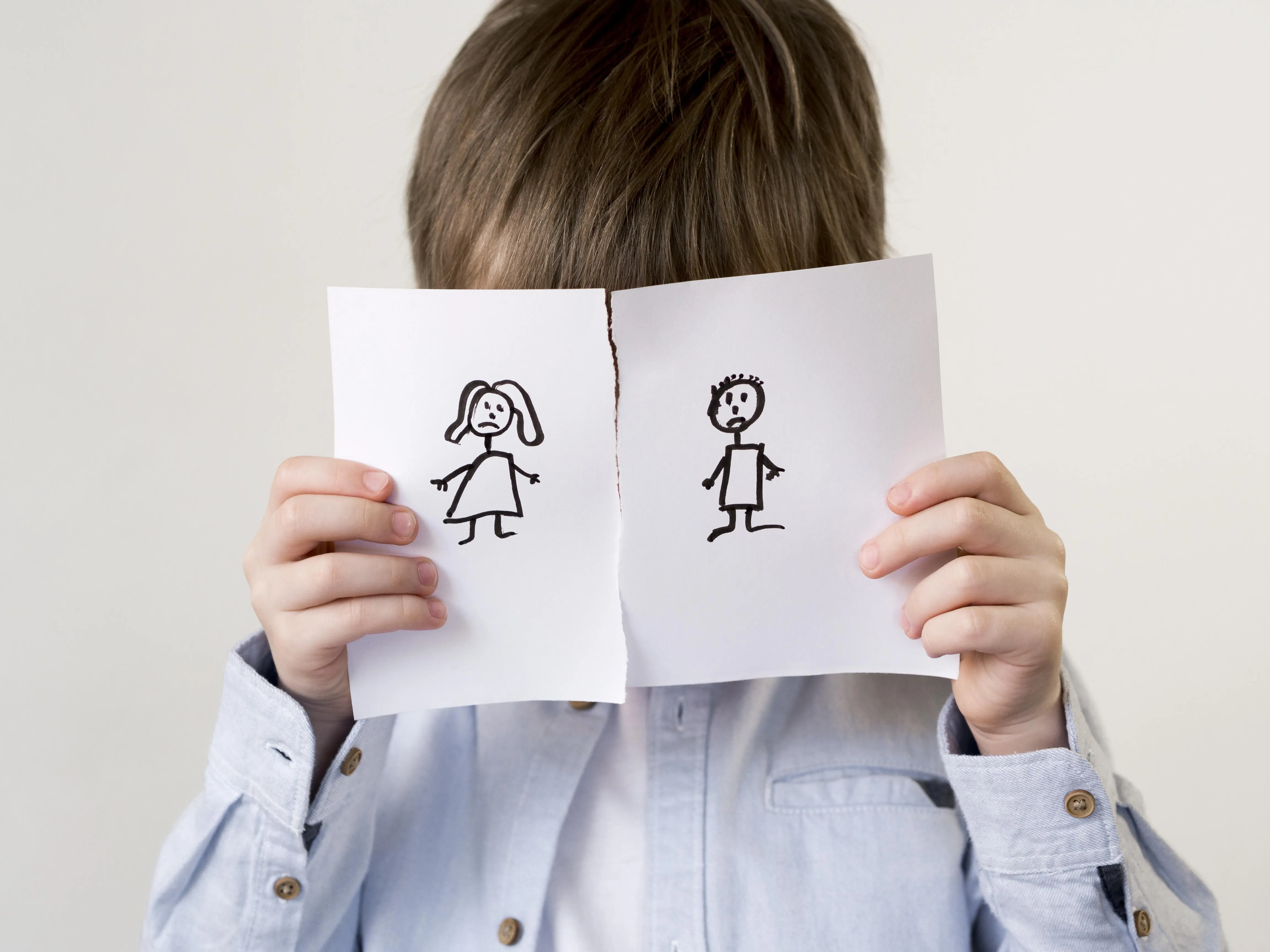 Child Custody Lawyers New York Background of the Client and Divorce Dispute