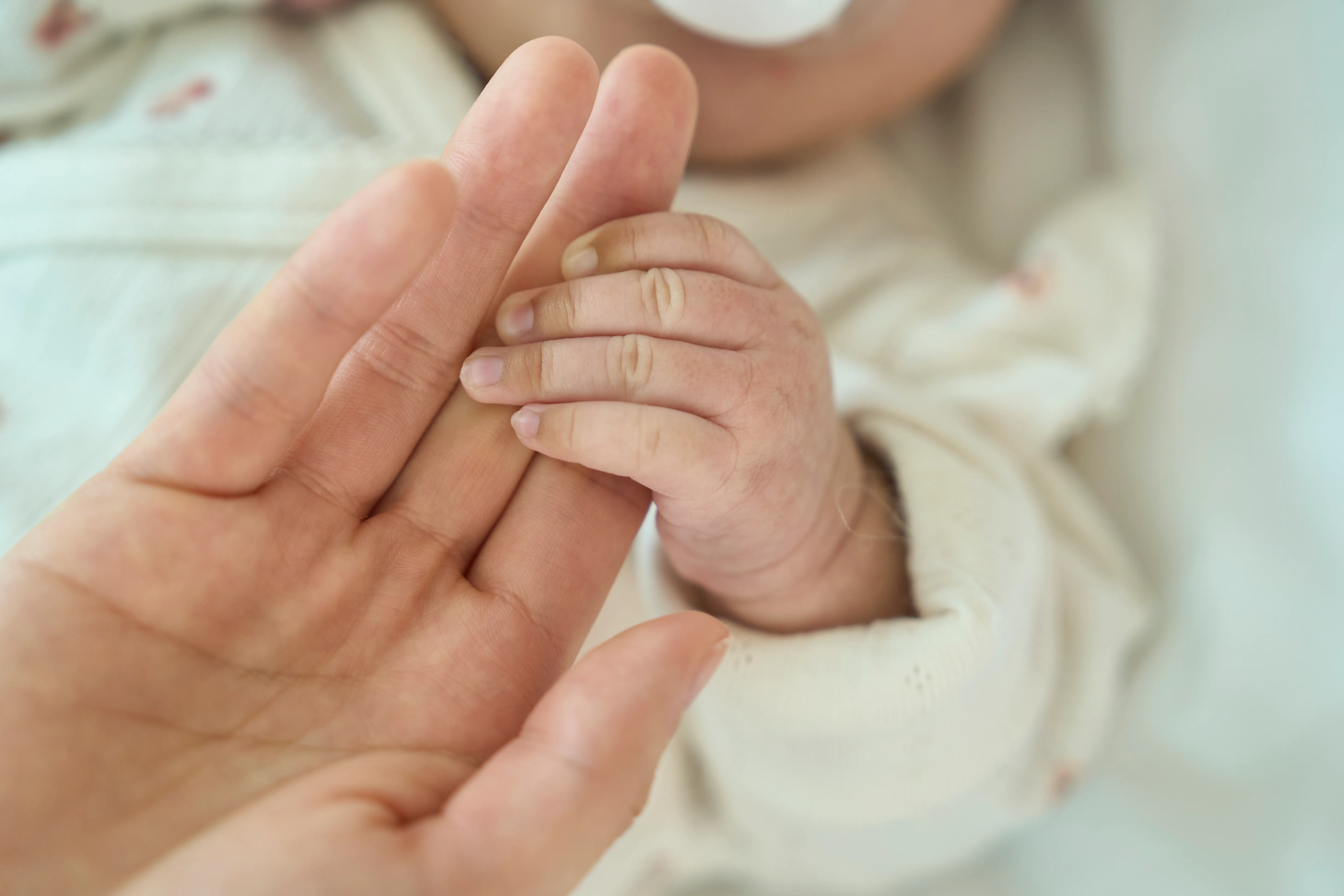 Custody Lawsuit Washington DC