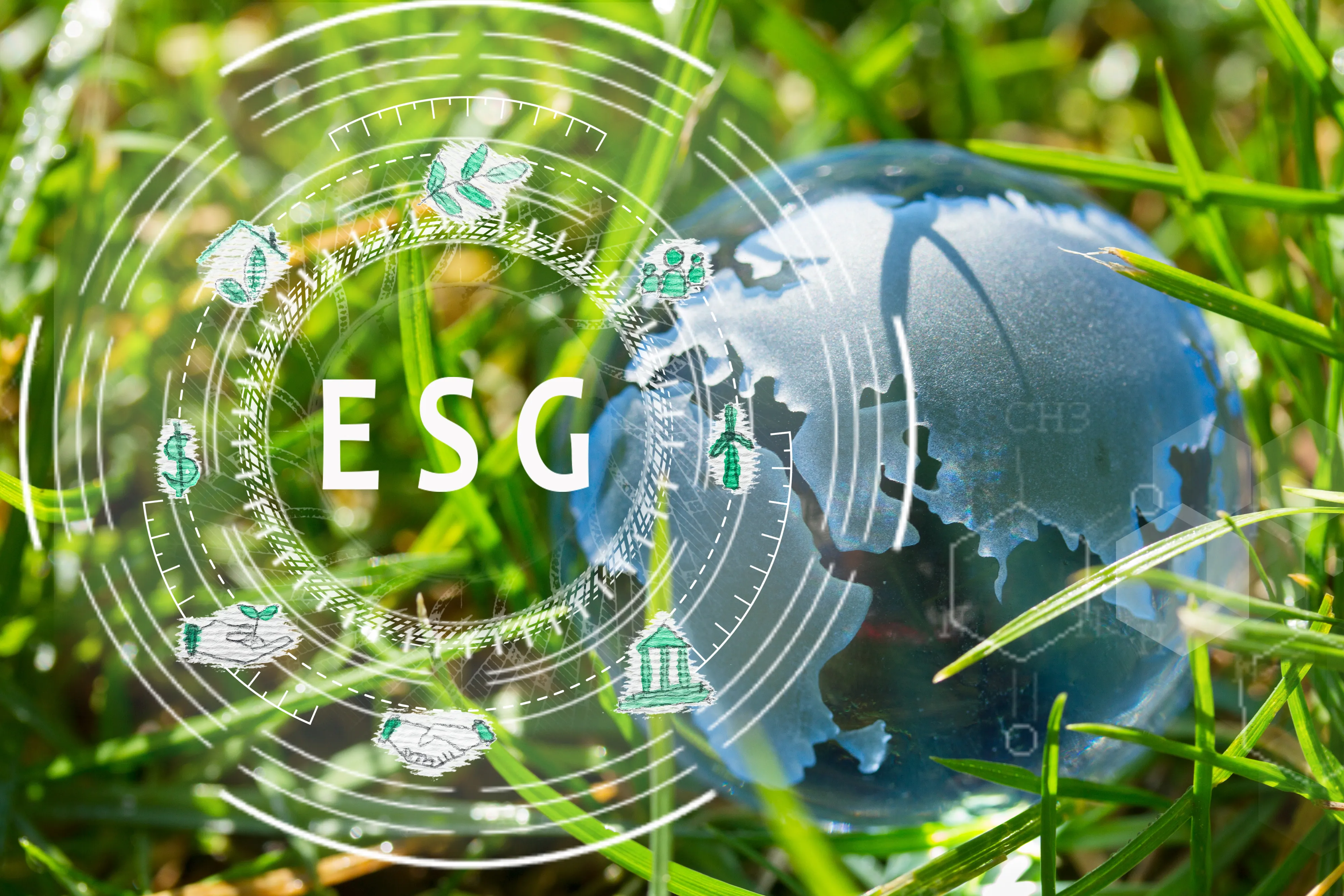 ESG Lawyer Washington DC Transaction Structuring and Risk Protection