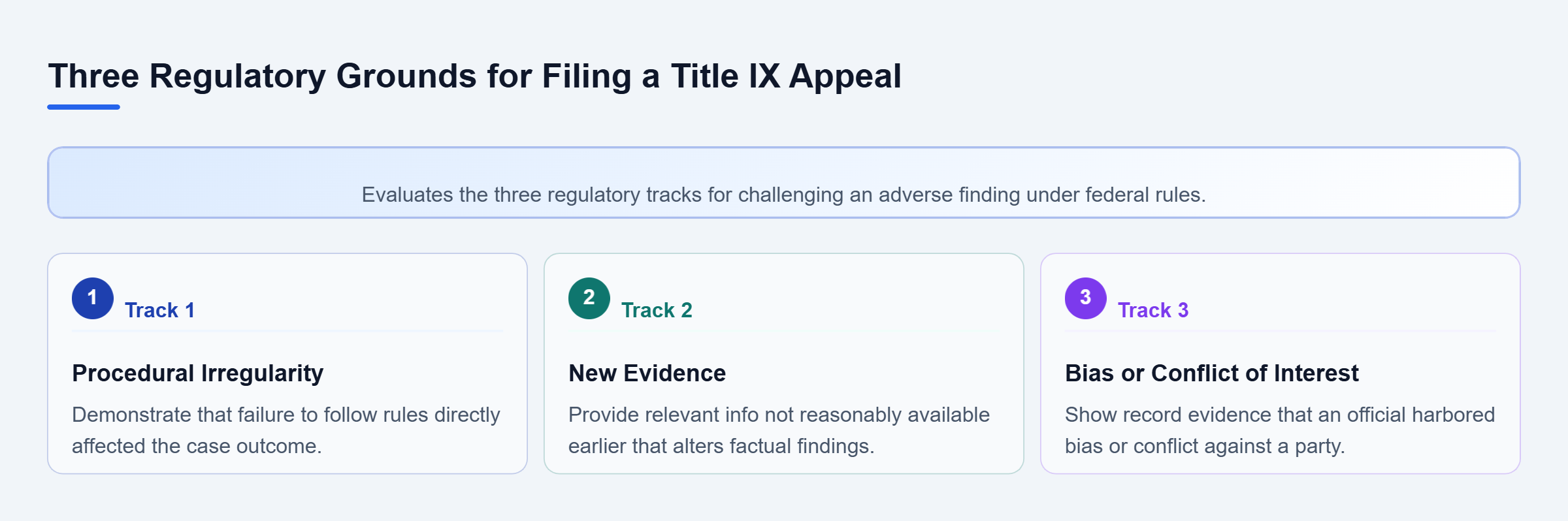 Diagram: Overview of three distinct appeal tracks: Procedural Irregularity, New Evidence, and Bias or Conflict of Interest.