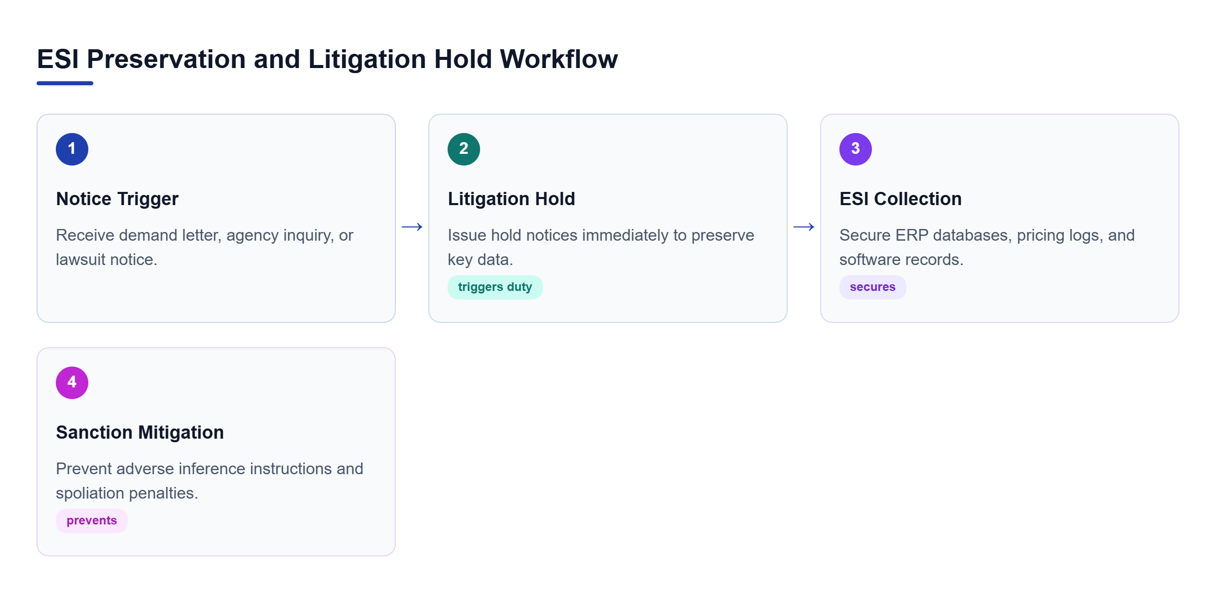 Diagram: A linear four-step workflow showing triggering events, litigation hold issuance, ESI collection, and sanction prevention.