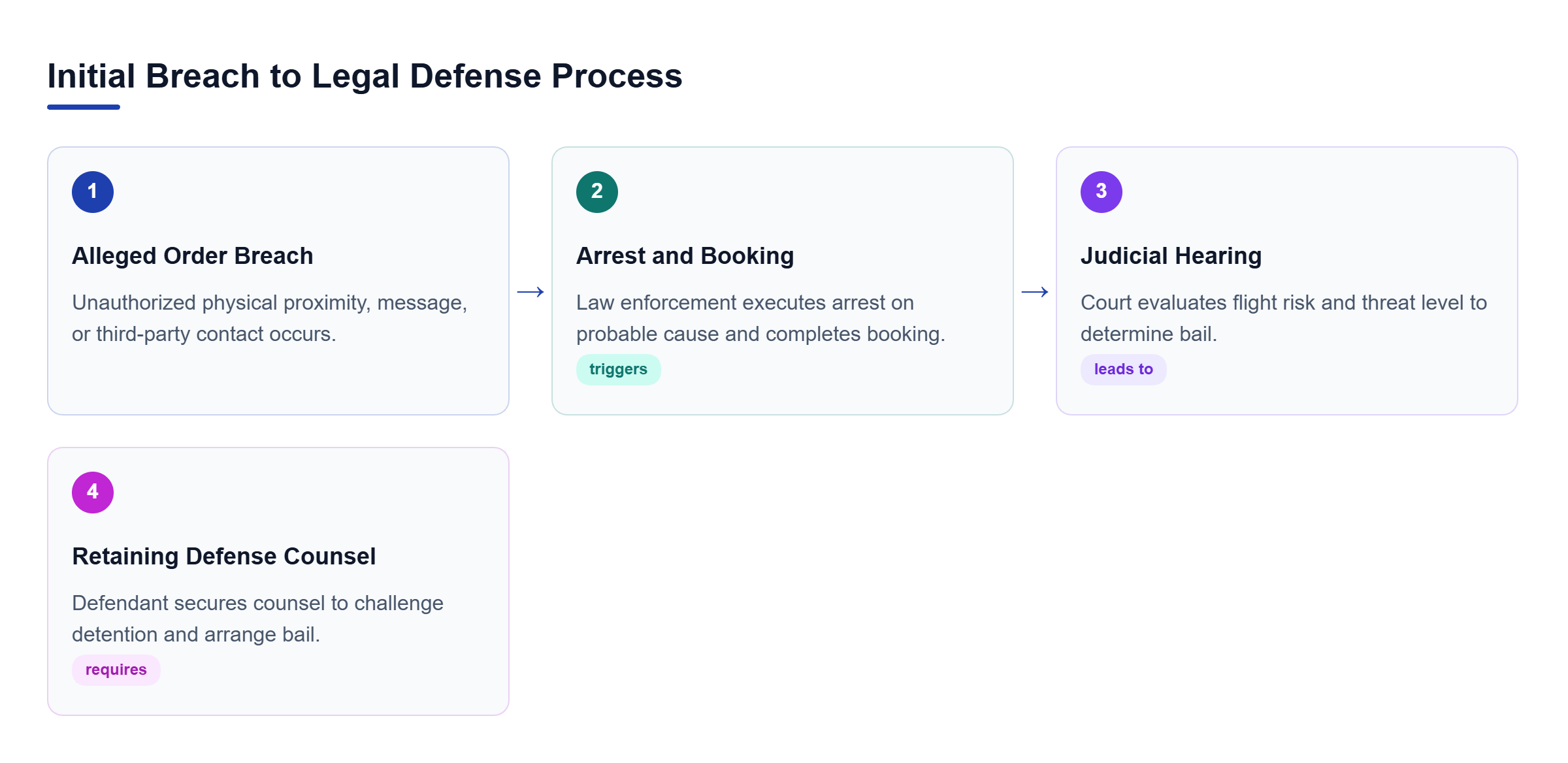 Diagram: Process flow outlining breach detection, arrest, booking, court hearing, and defense counsel engagement.