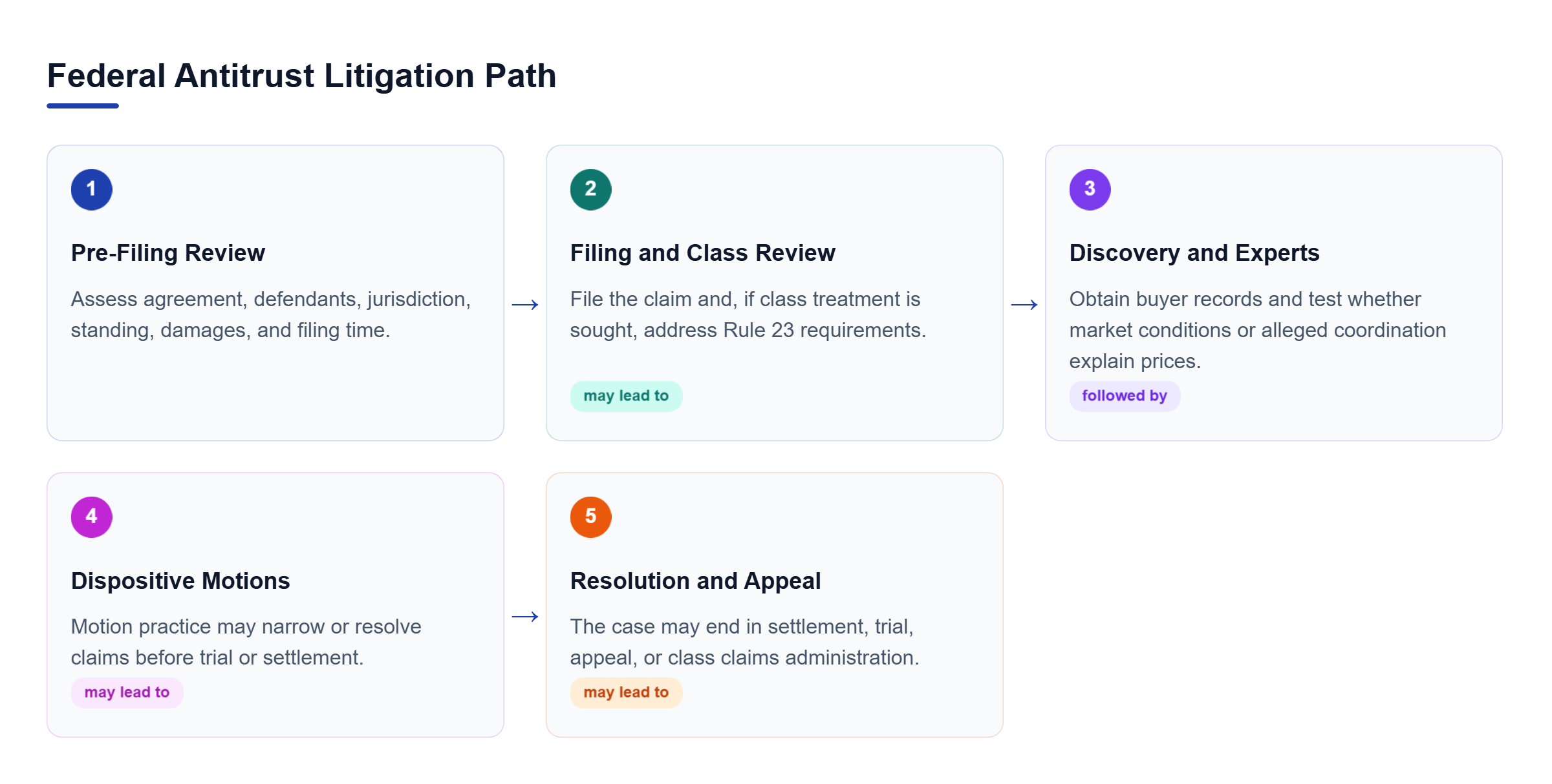 Diagram: Flow showing a potential federal antitrust case moving from pre-filing review to class issues, discovery and experts, motions, and final resolution.