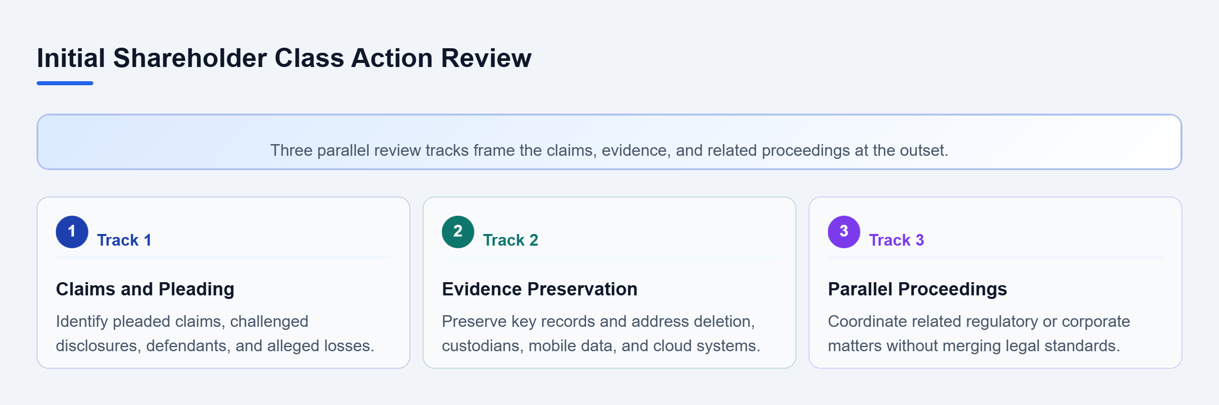 Diagram: Three parallel tracks show review of pleaded claims, preservation needs, and related regulatory or corporate proceedings.