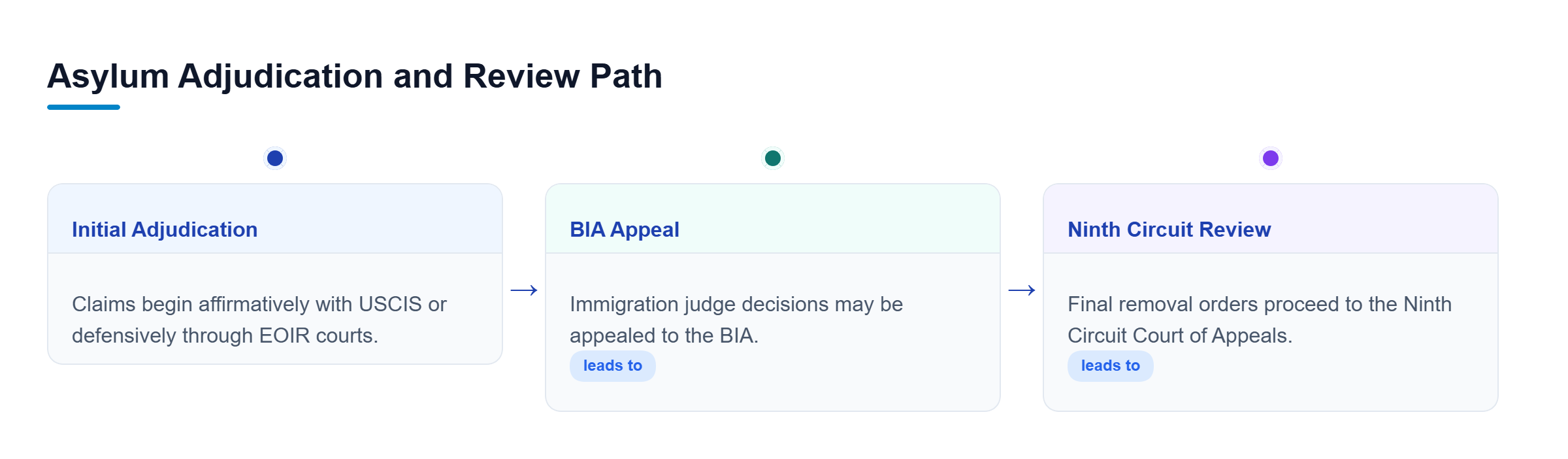 Diagram: Vertical flowchart showing asylum proceedings advancing from initial agency adjudication to appellate review.