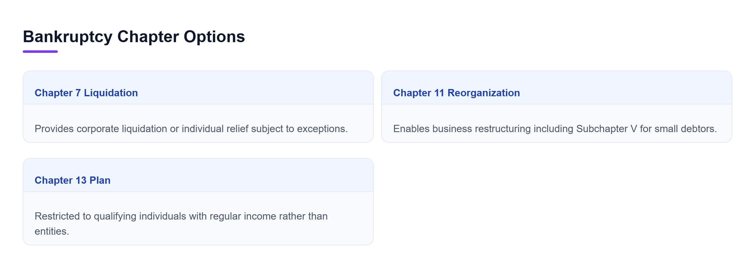 Diagram: Comparison showing Chapter 7, Chapter 11, and Chapter 13 options and rules.