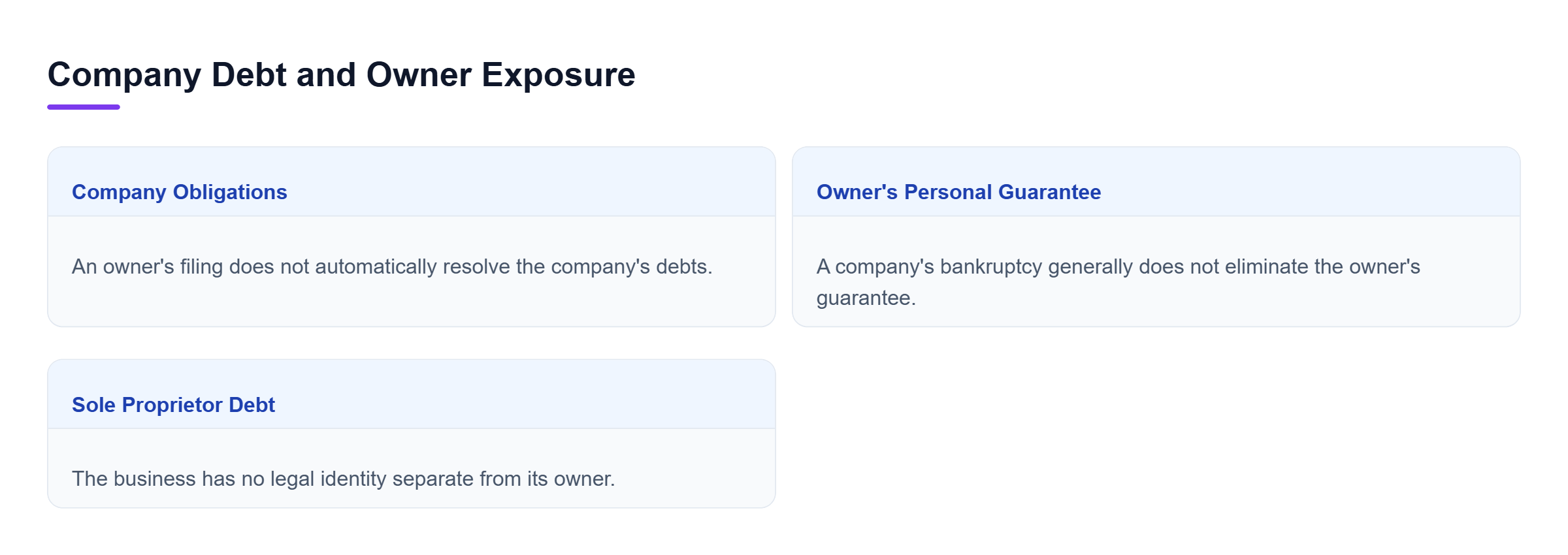 Diagram: Company and owner filings do not automatically resolve each other's obligations; sole proprietors have no separate business legal identity.