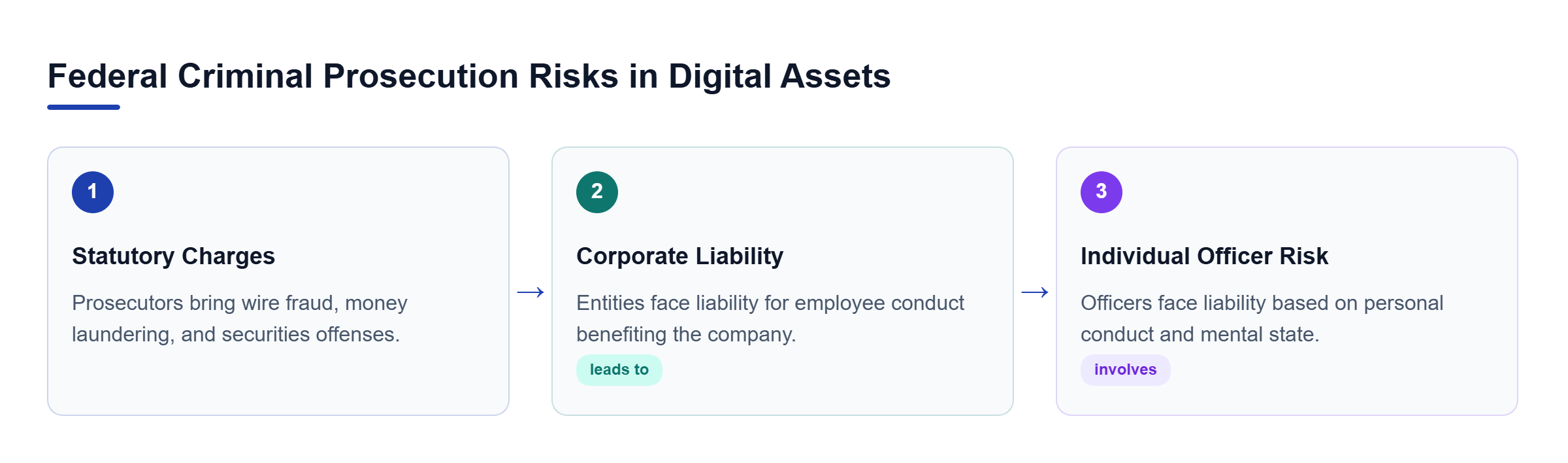 Diagram: Flowchart showing federal criminal prosecution risks for digital assets and officers.