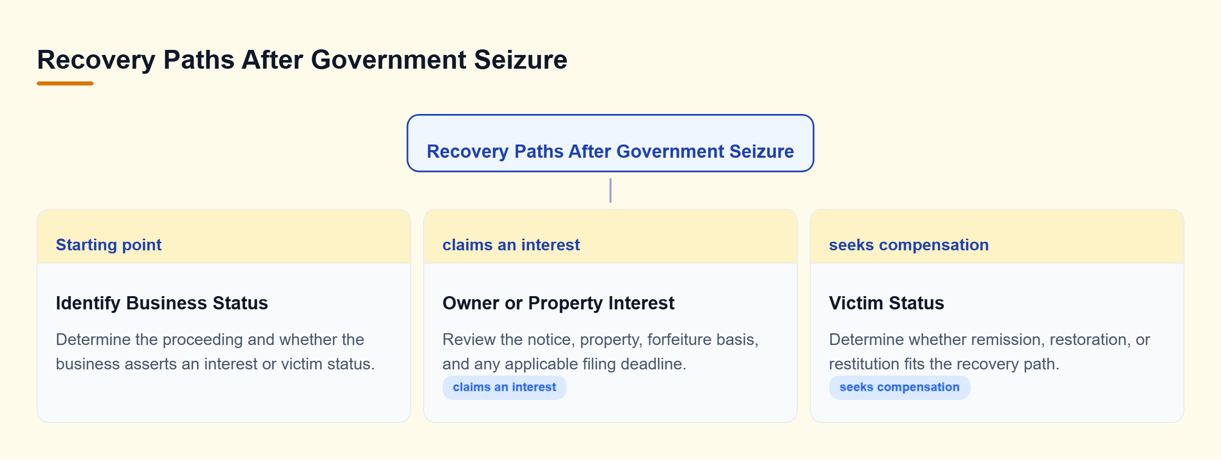 Diagram: Government seizure review branches by status: an owner or property-interest claimant contests forfeiture, while a victim pursues a separate recovery mechanism.