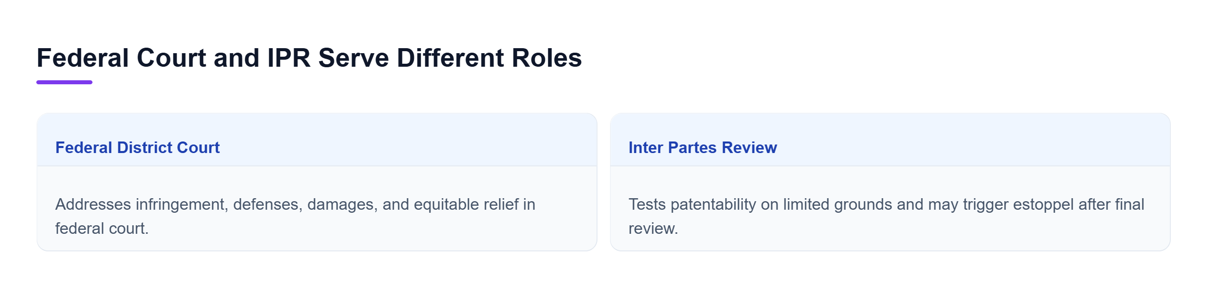 Diagram: Comparison of federal district court litigation and IPR, highlighting infringement remedies versus limited patentability review and possible estoppel.