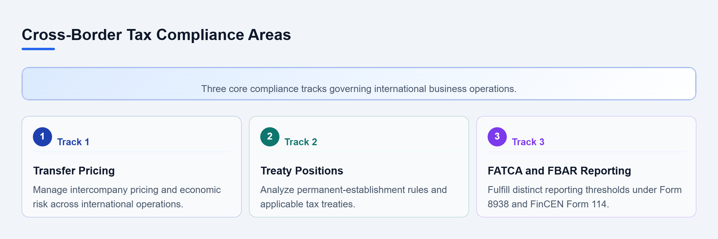 Diagram: Vertical checklist showing transfer pricing, treaty positions, and reporting regimes.
