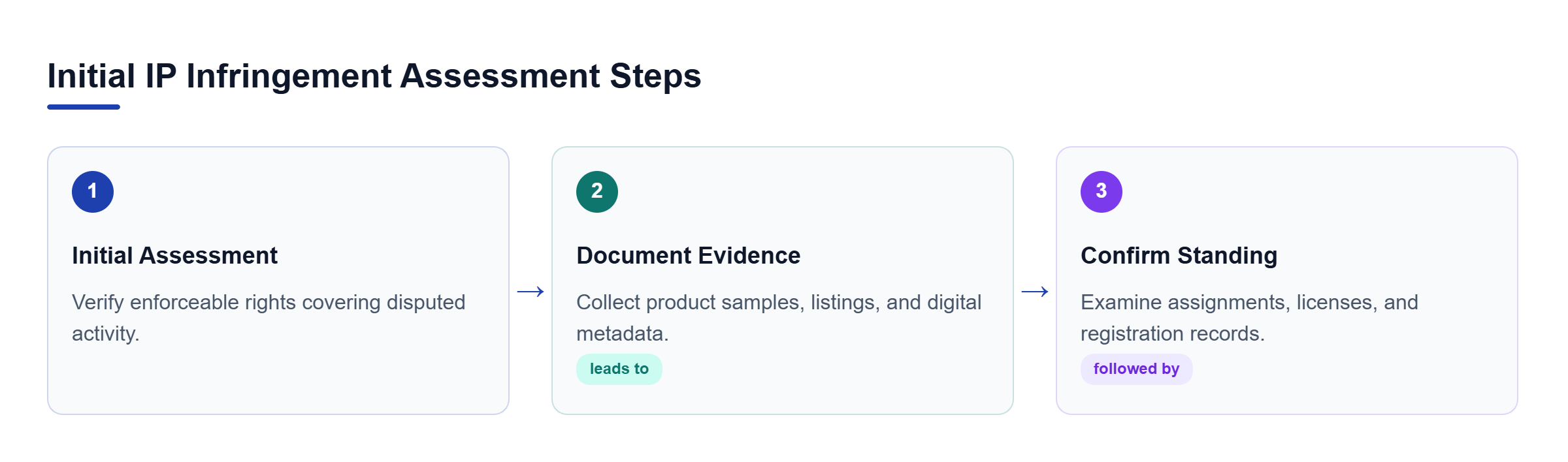 Diagram: Flowchart outlining the initial assessment and evidence preservation stages for IP infringement.