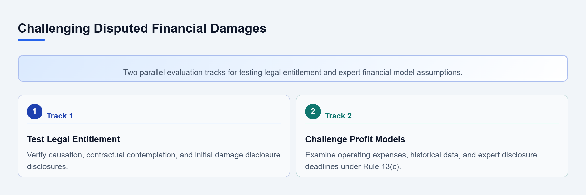 Diagram: Diagram showing two parallel review tracks for challenging legal entitlement to damages and testing lost profit assumptions.