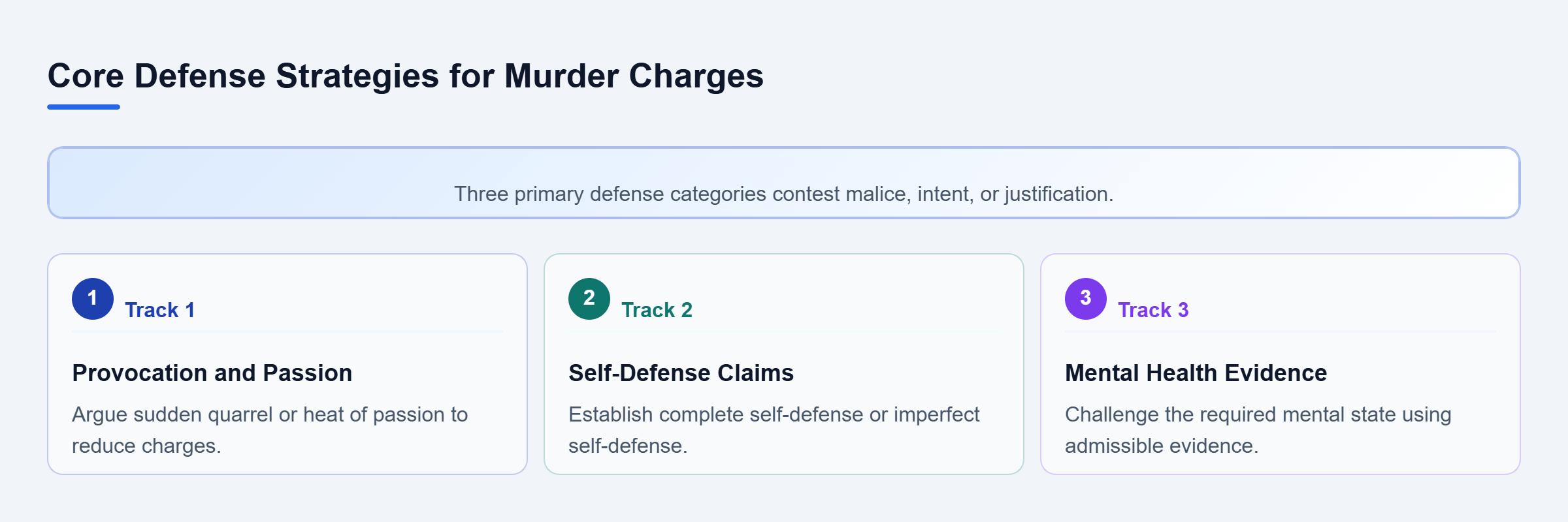 Diagram: Three vertical checklist tracks outlining provocation, self-defense, and mental health challenges.
