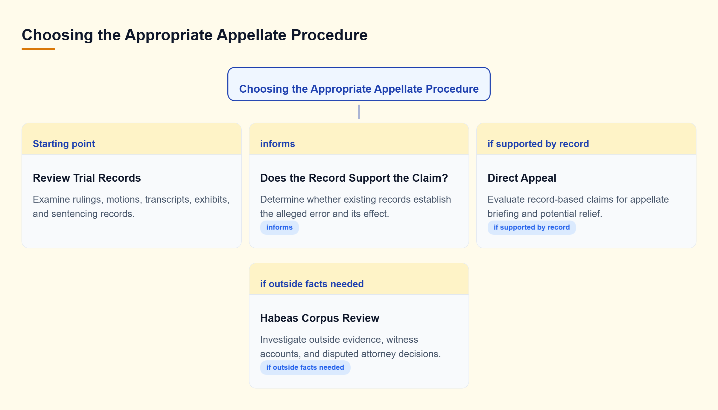 Diagram: An appellate lawyer reviews trial records, then evaluates direct appeal for record-based claims or habeas corpus for claims requiring outside evidence.