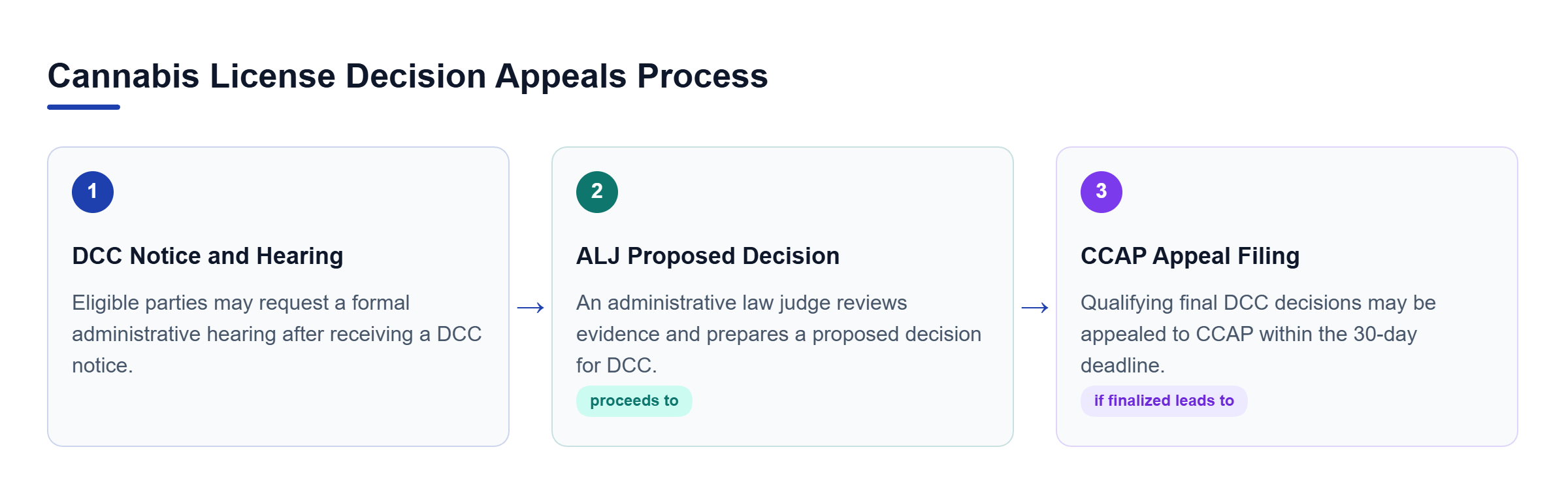 Diagram: A flowchart showing the process from receiving a DCC notice to an administrative hearing and a final CCAP appeal.