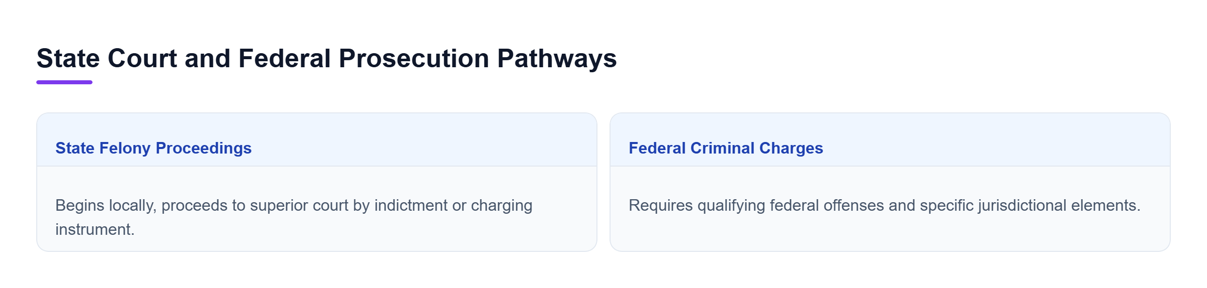 Diagram: Comparison of State Felony Proceedings and Federal Criminal Charges.