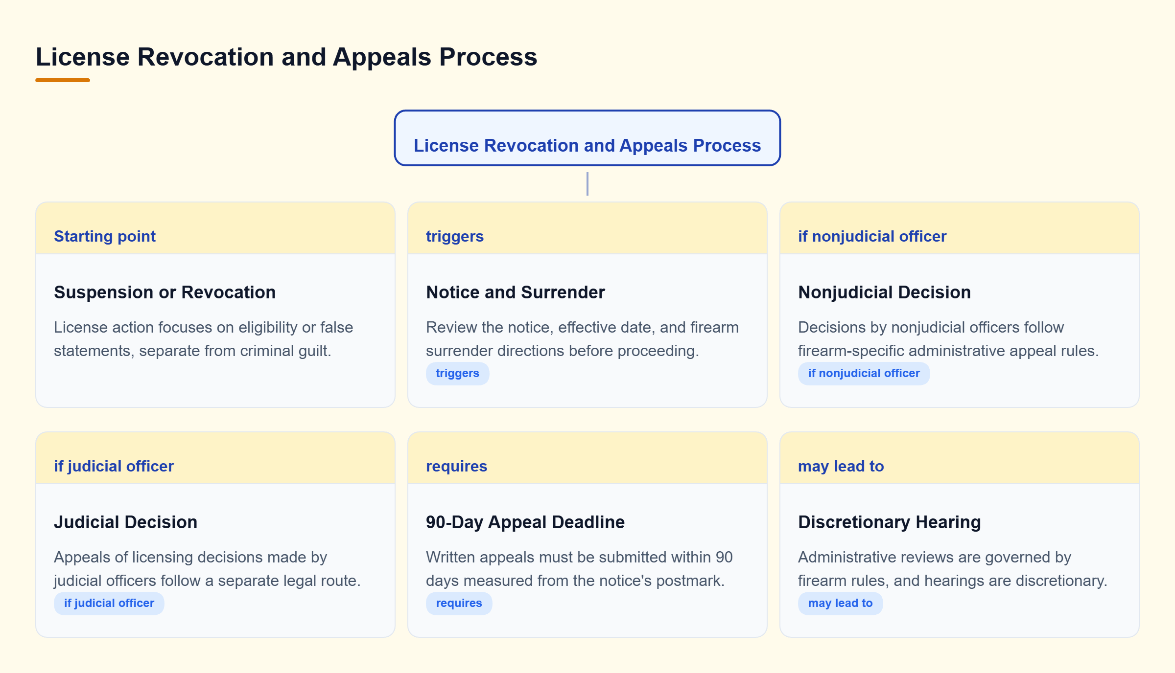 Diagram: Decision tree showing license revocation steps, branching into nonjudicial appeals with a 90-day deadline or a separate judicial route.