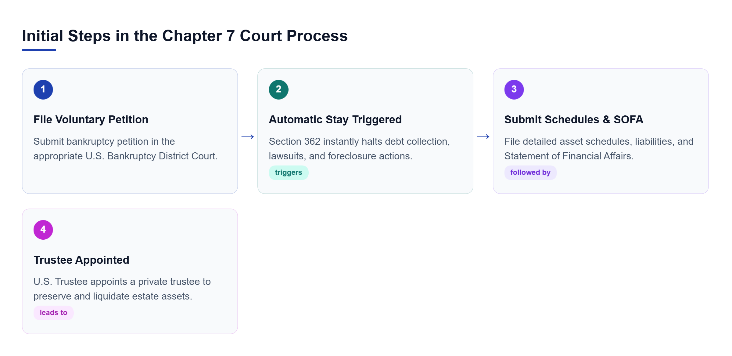 Diagram: Process flow showing voluntary petition filing, triggering of the automatic stay, submission of financial disclosures, and trustee appointment.