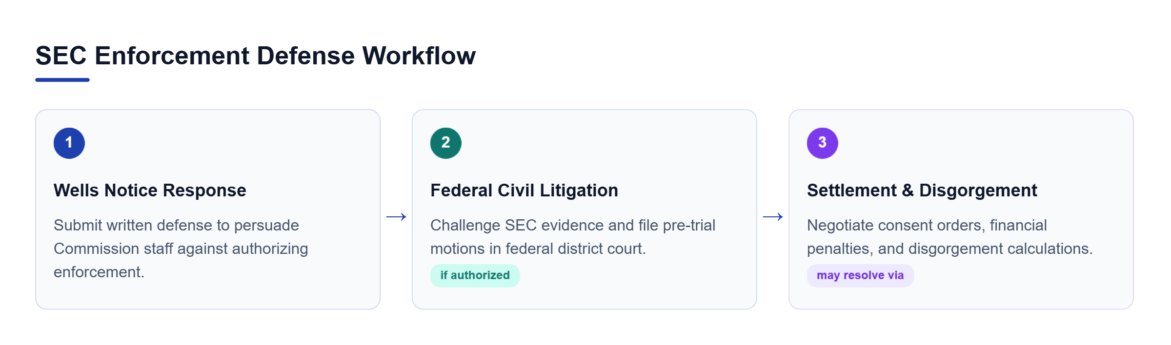 Diagram: A horizontal 3-step process showing Wells Notice Response leading to Civil Litigation Defense or Settlement Negotiations.