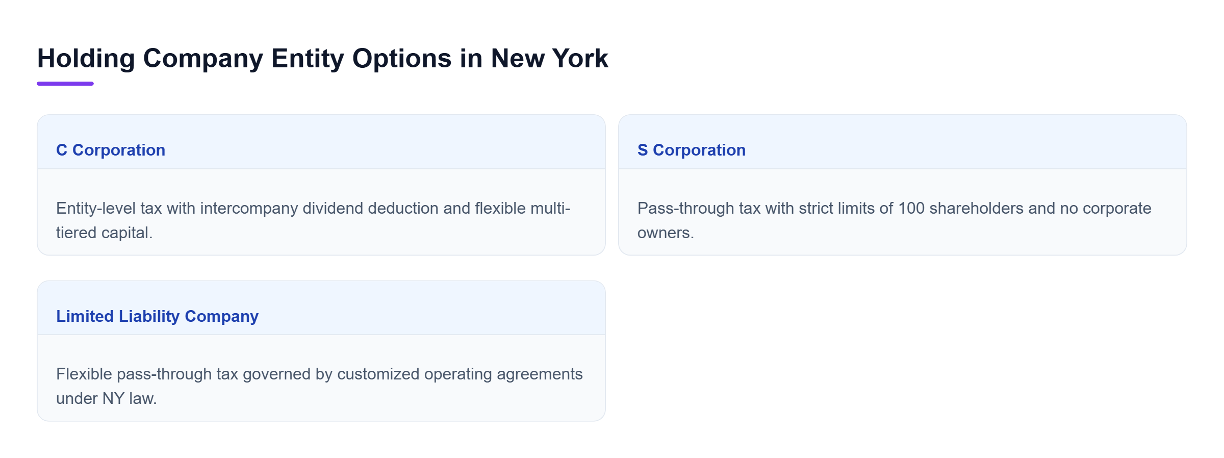 Diagram: Comparative chart of C Corporation, S Corporation, and LLC entity structures for New York holding companies detailing tax treatment and governance flexibility.